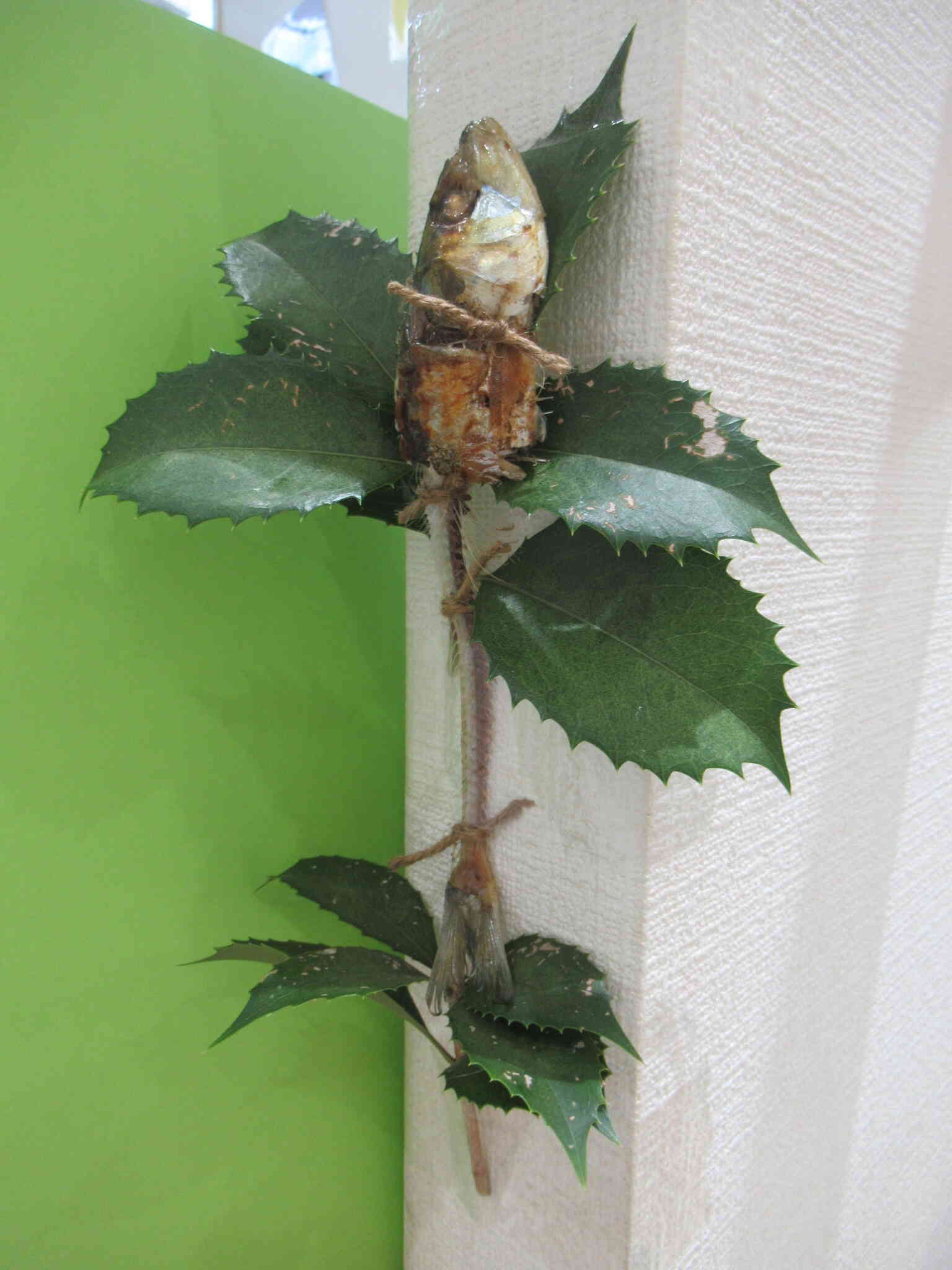 ひいらぎイワシ