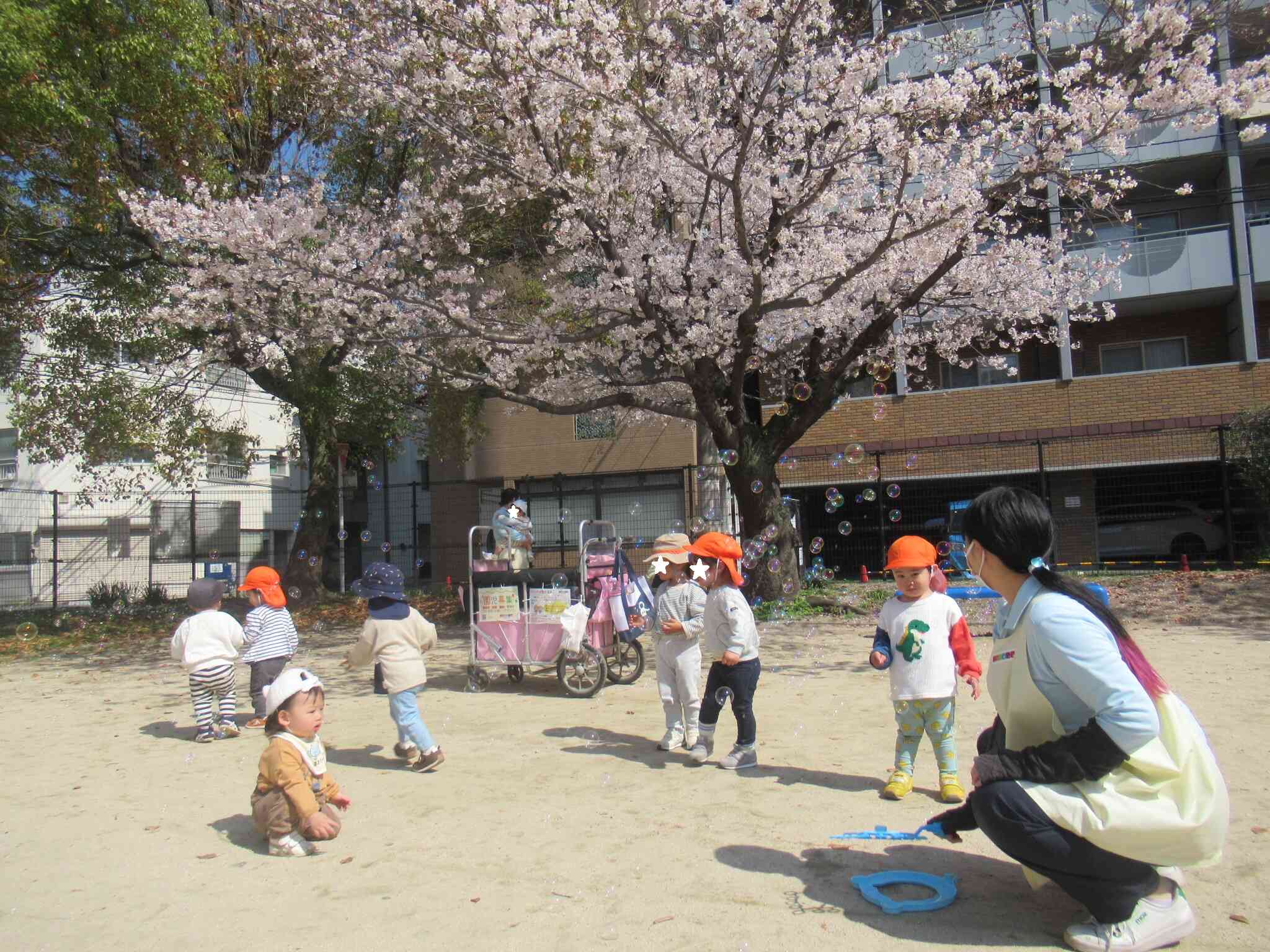 新年度スタート