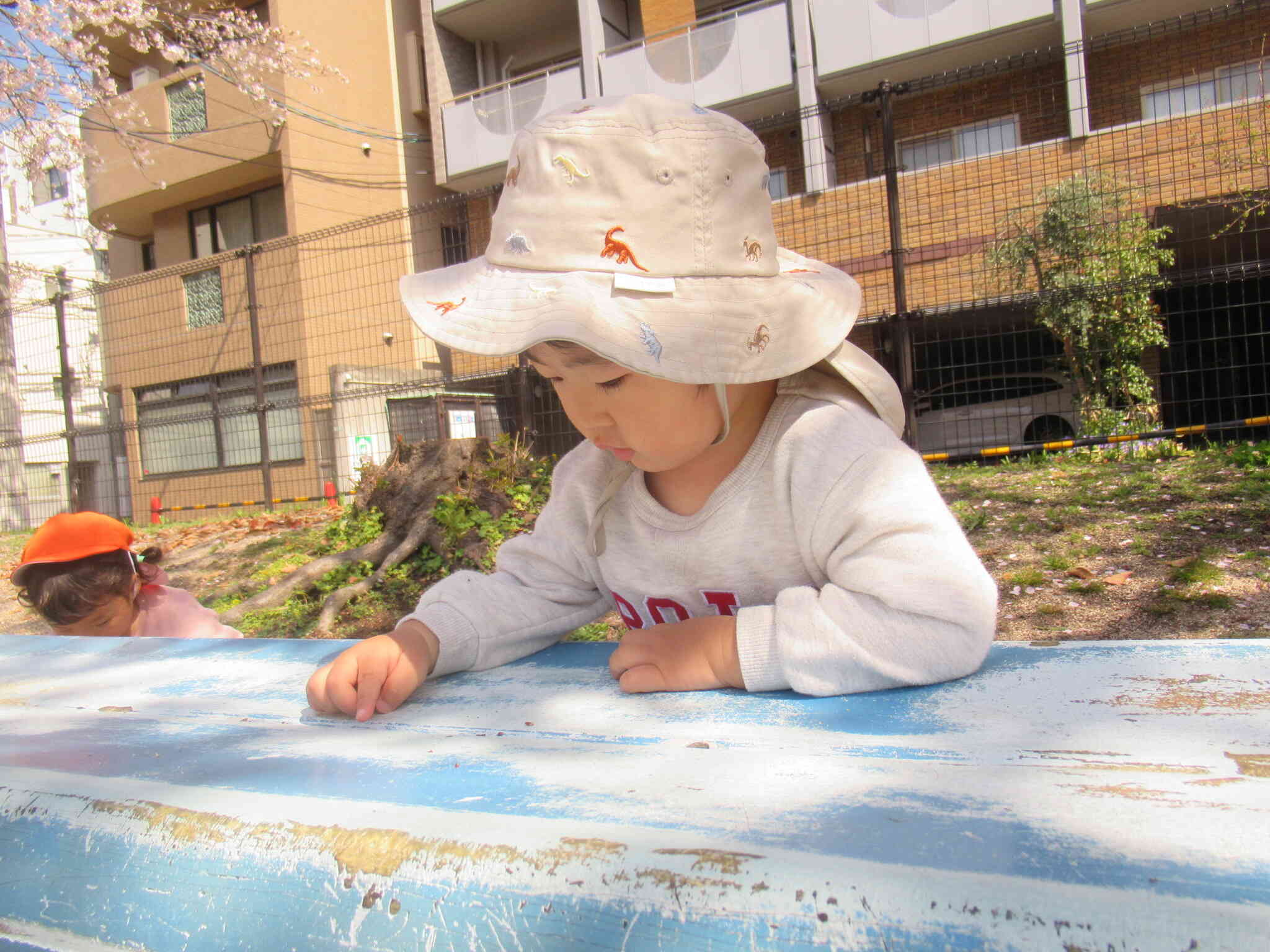 だんごむしレース