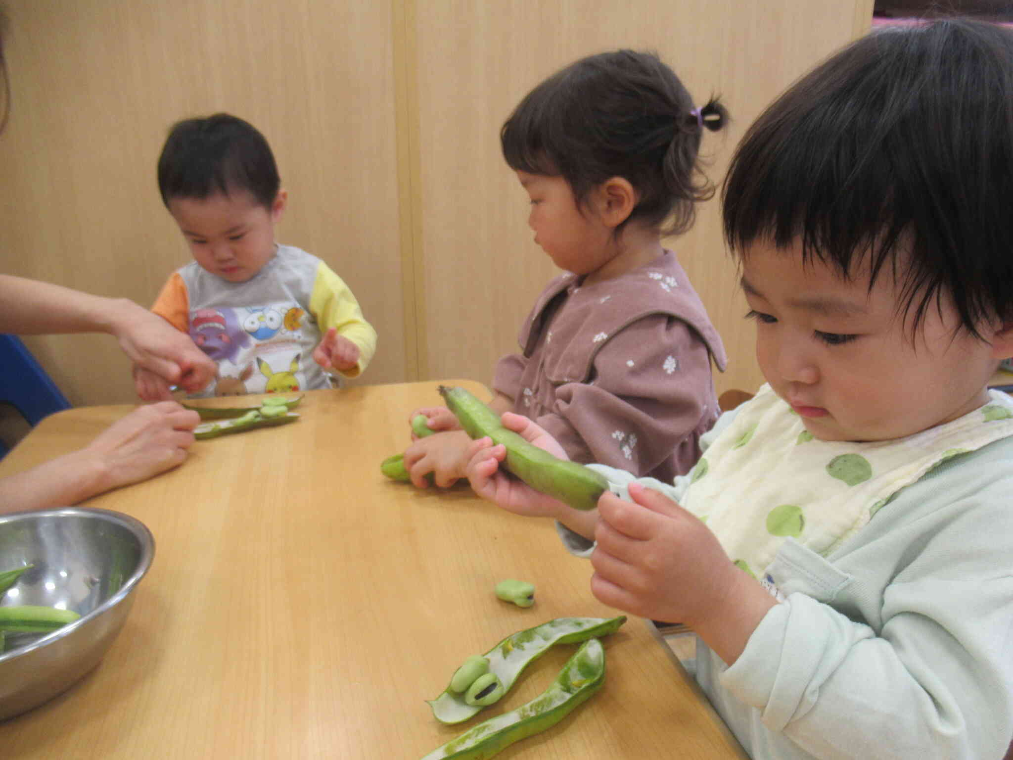 食育「いろいろなお豆」