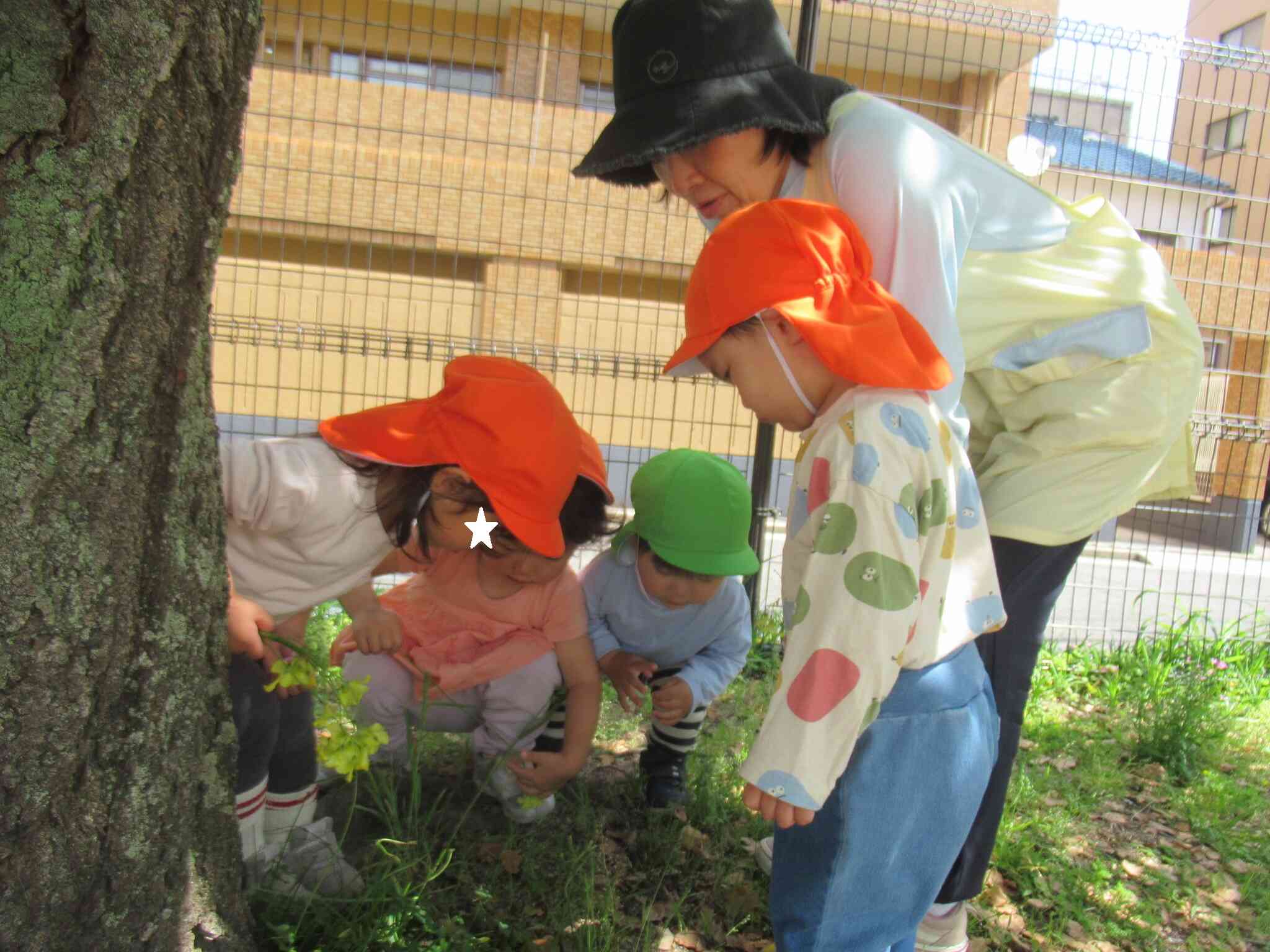 公園：発見いろいろ