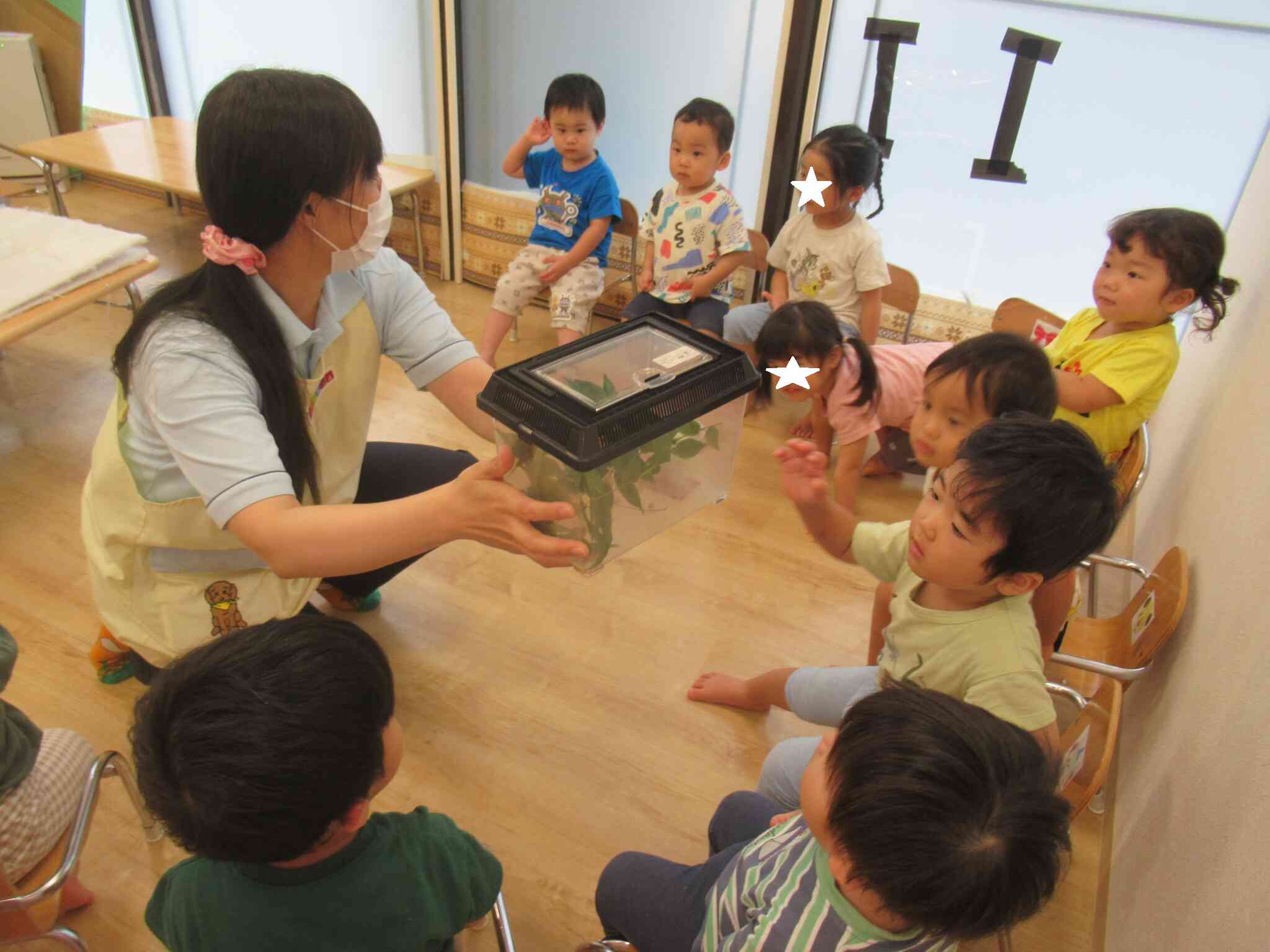 観察も・・・
