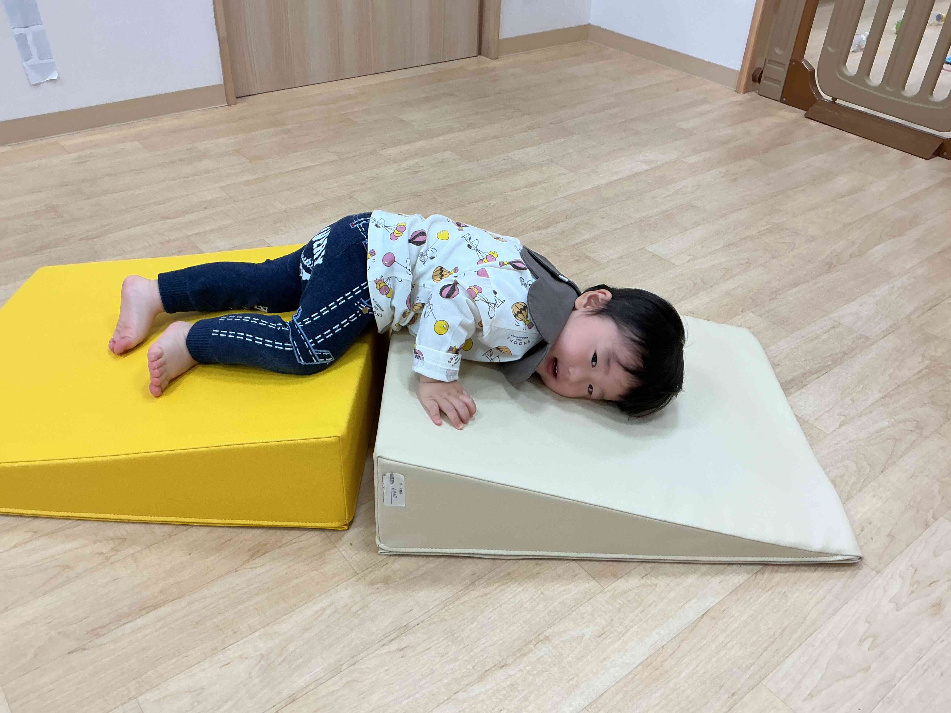 ぼくは、ごろーんとしてみたよ！