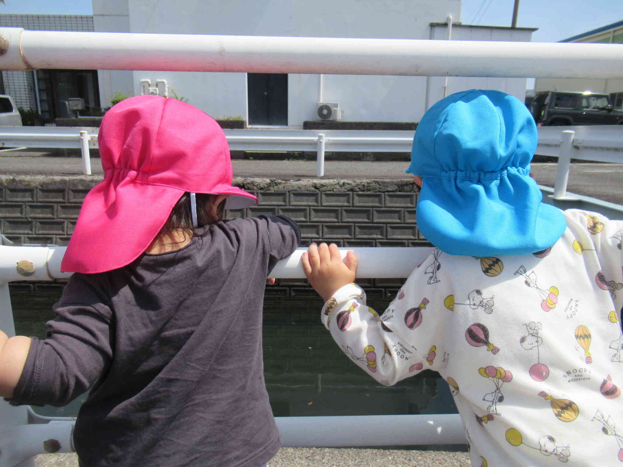 園周辺のお散歩に行ってきました