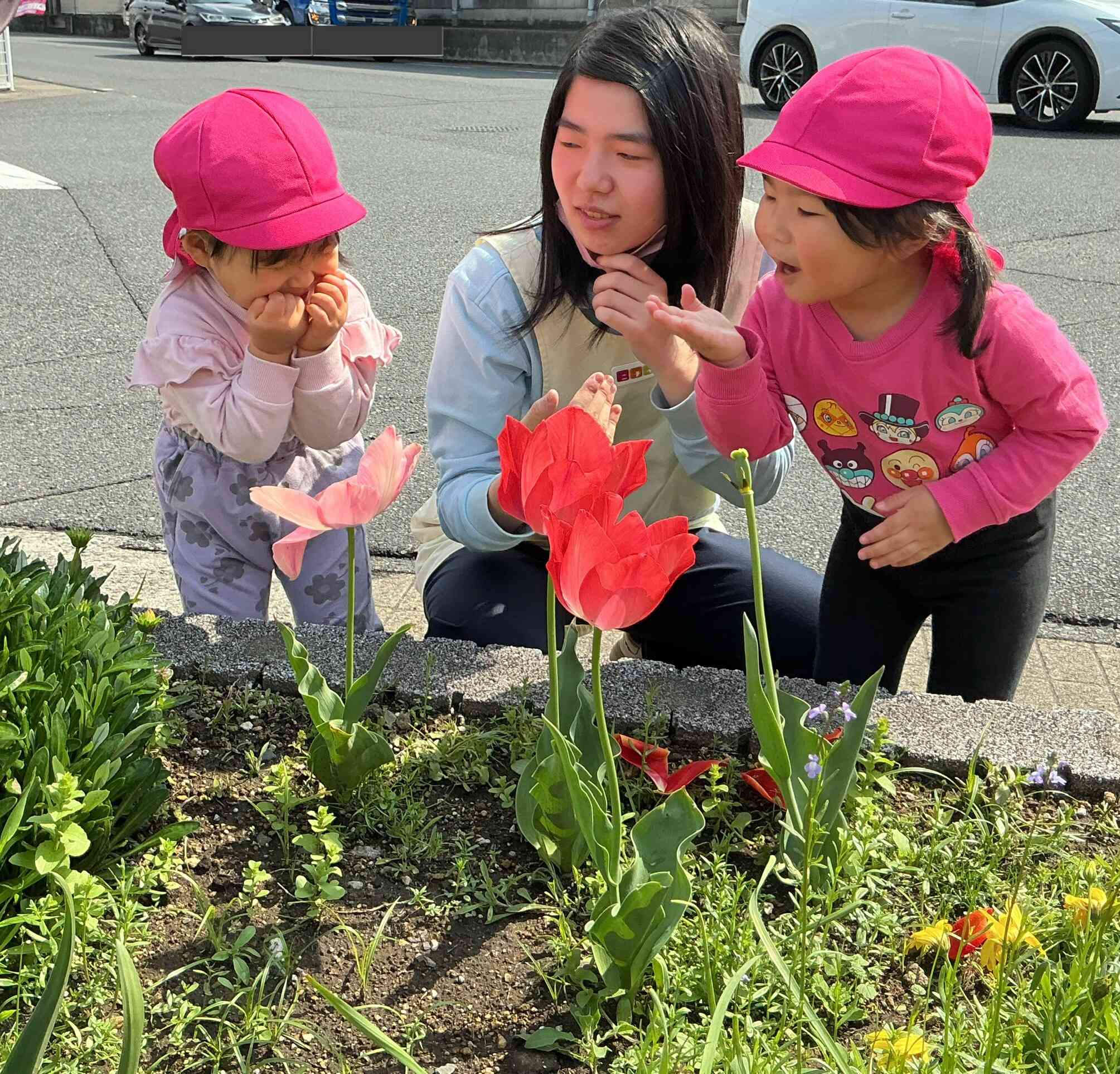 散歩に行ったよ♫