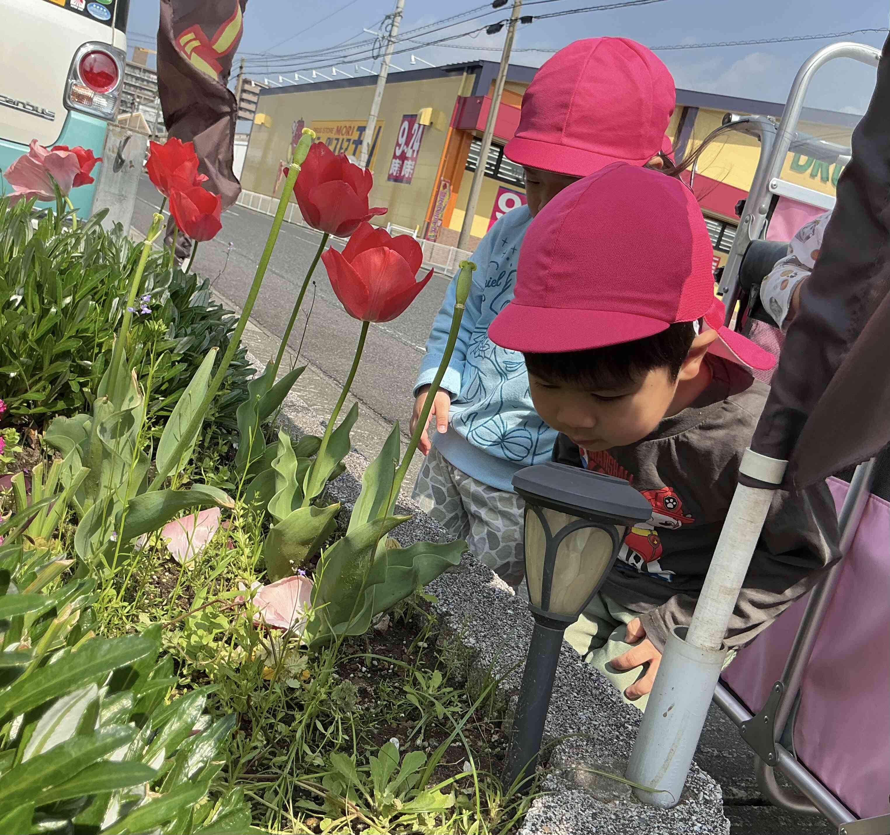 だんご虫さん！どこいくの〜？？