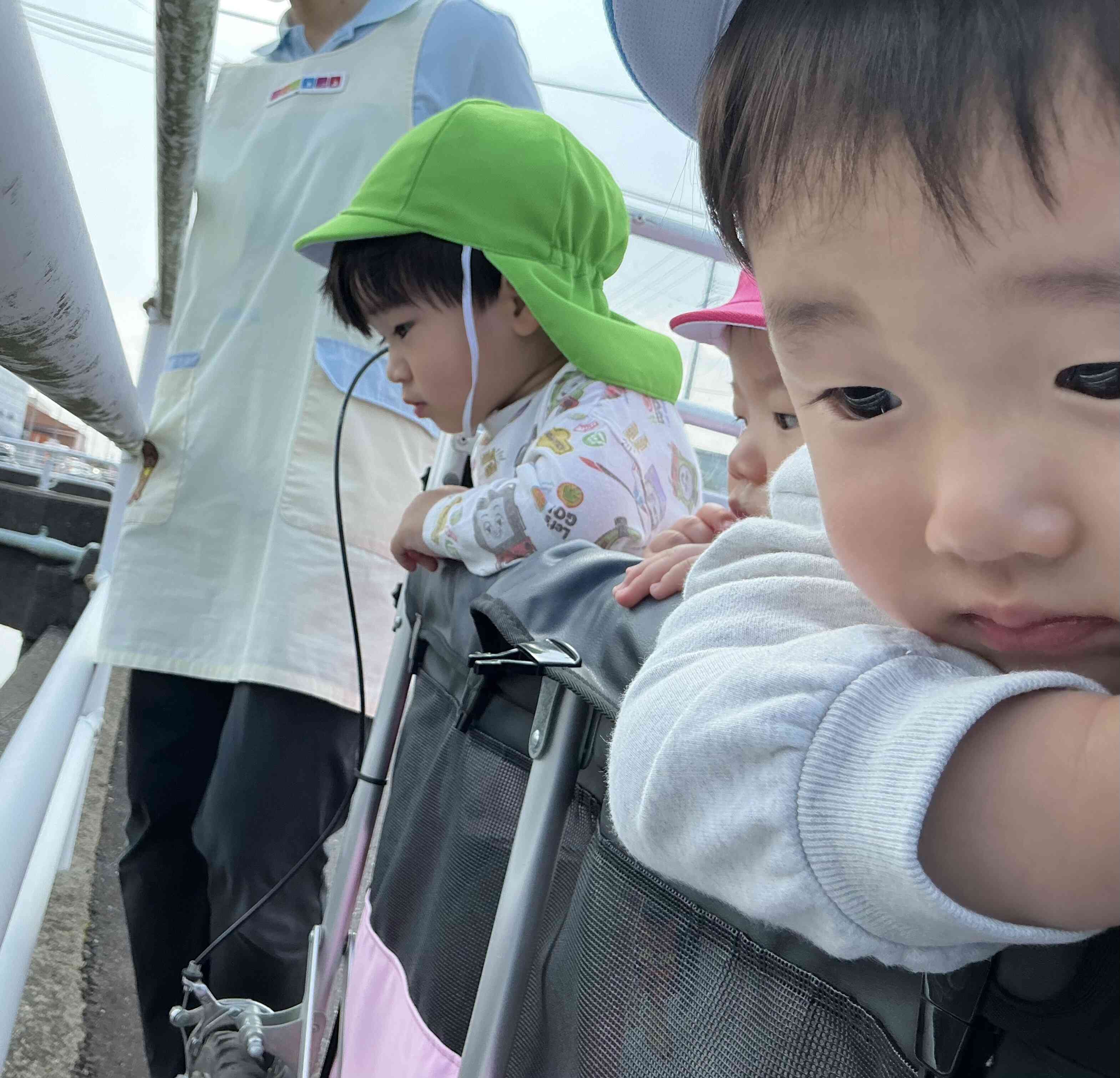 お魚いるかな〜？？