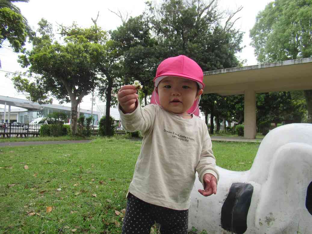 公園にはたくさんの自然があります