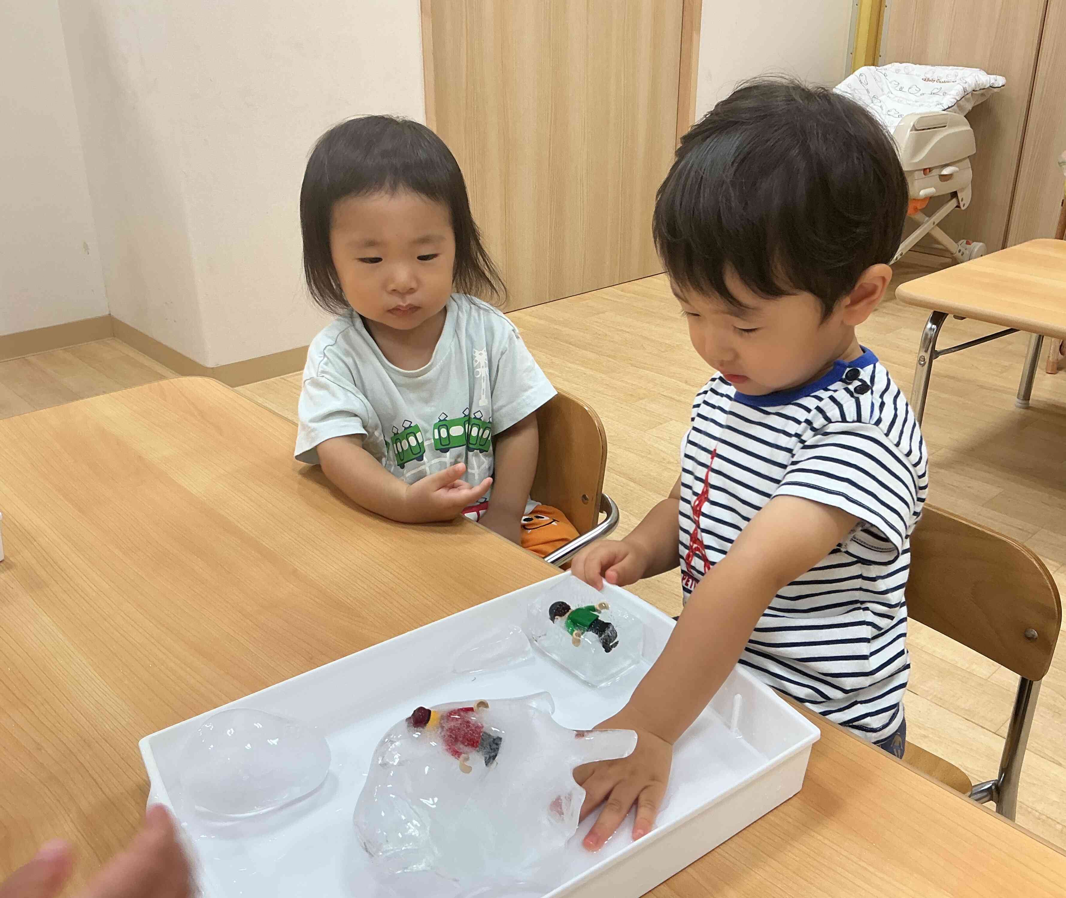 大きな氷だね✰