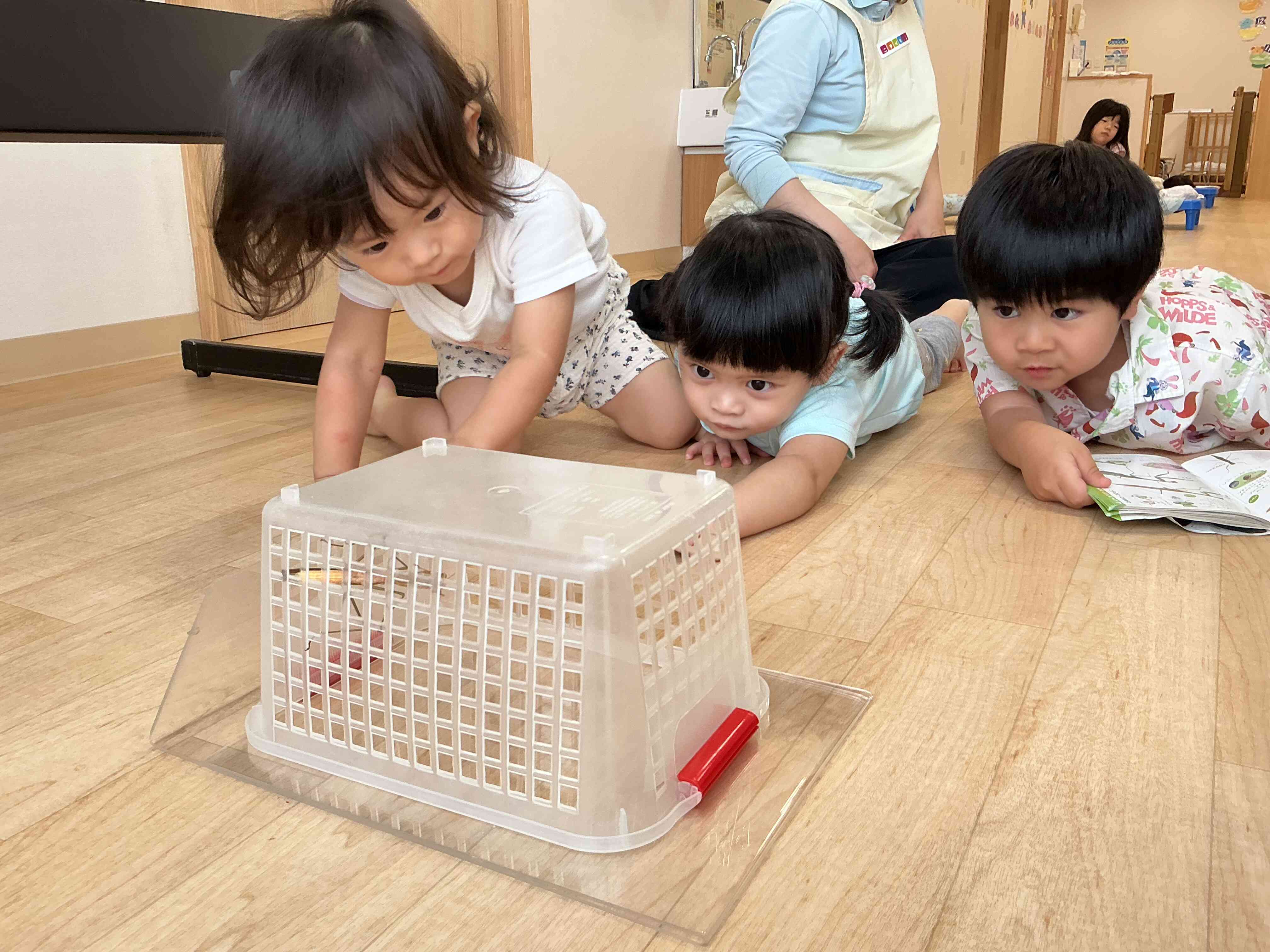 珍しいおともだちがあそびにきてくれました！