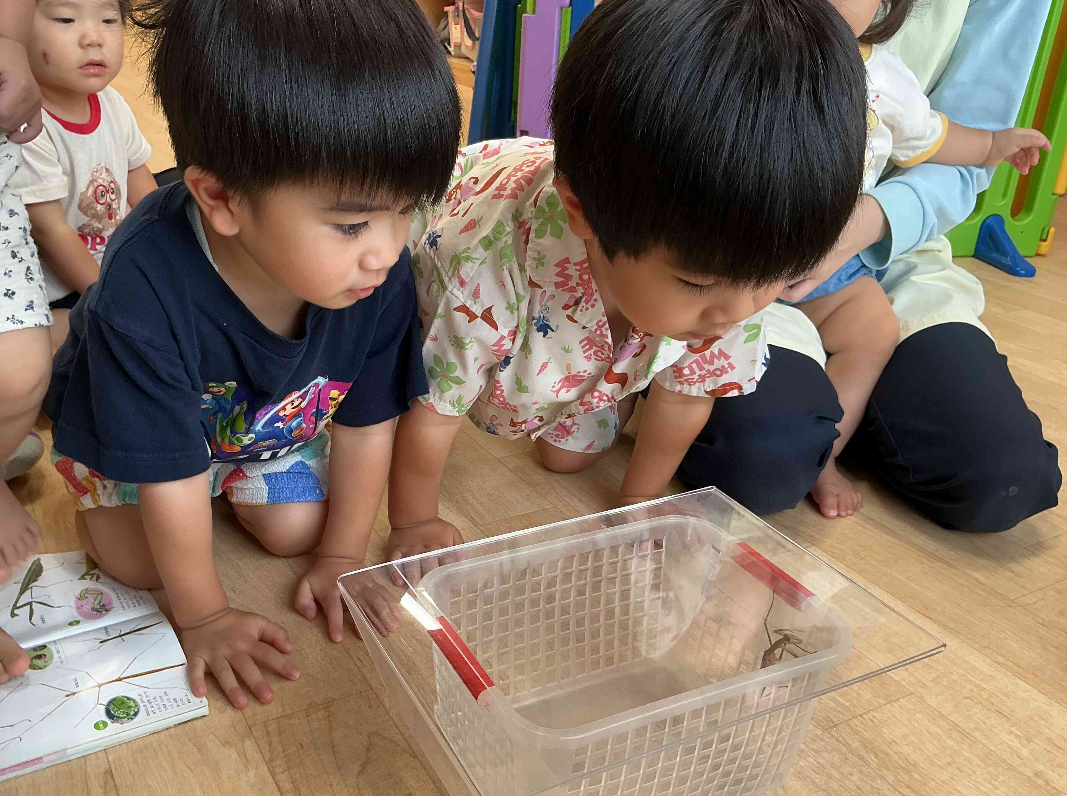 近くでじっくりみてみよう！