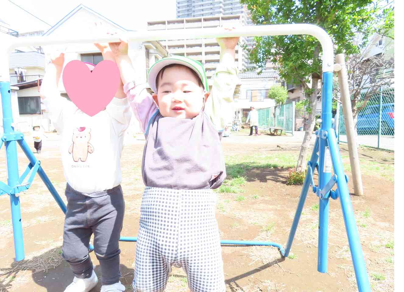 新緑の季節です