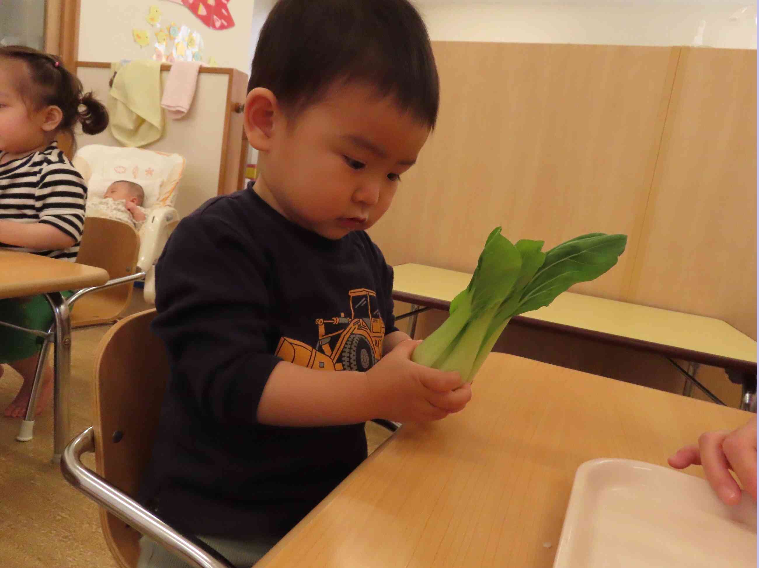 初めての食育