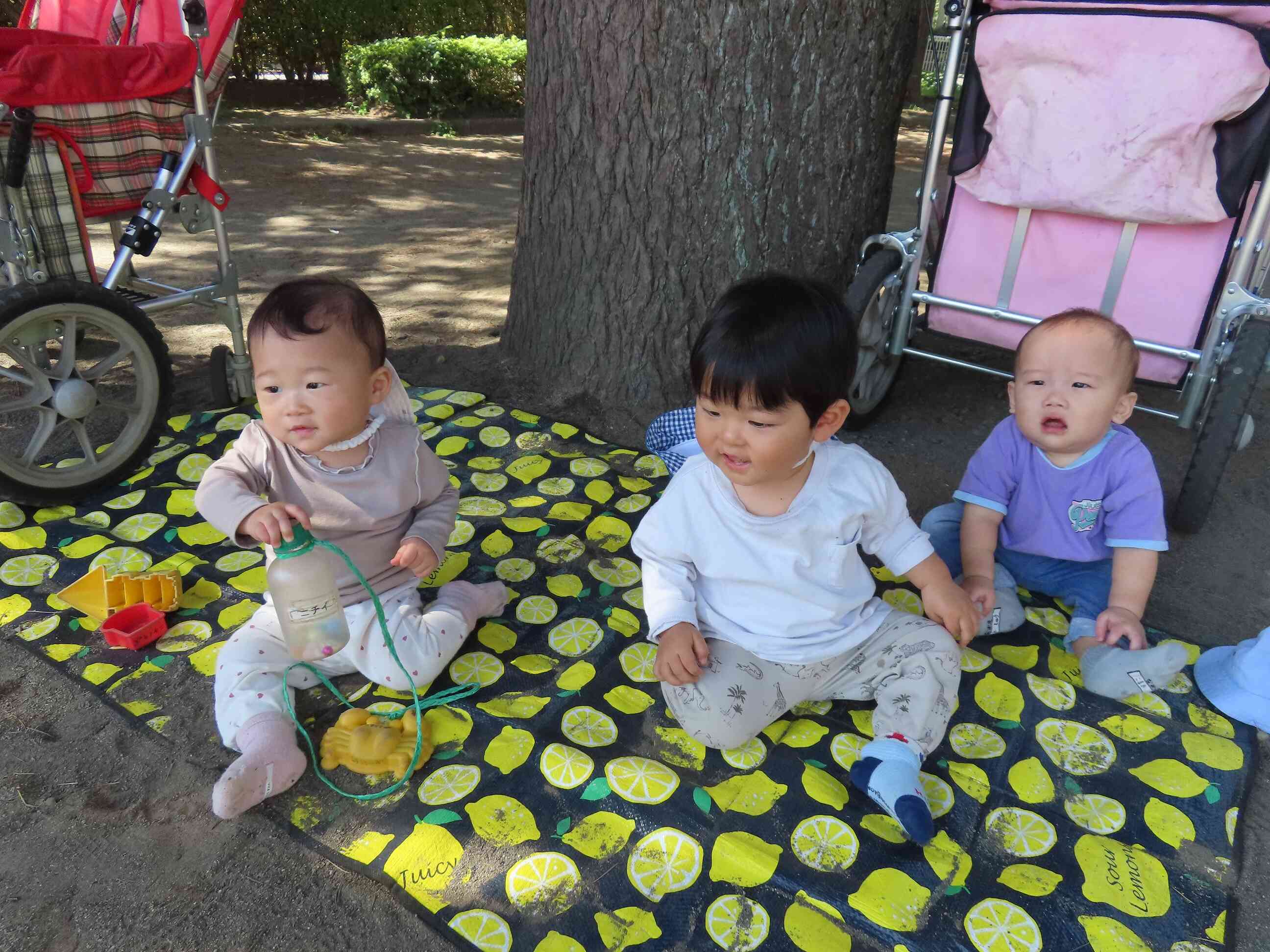 お外が気持ちいい季節になりました！