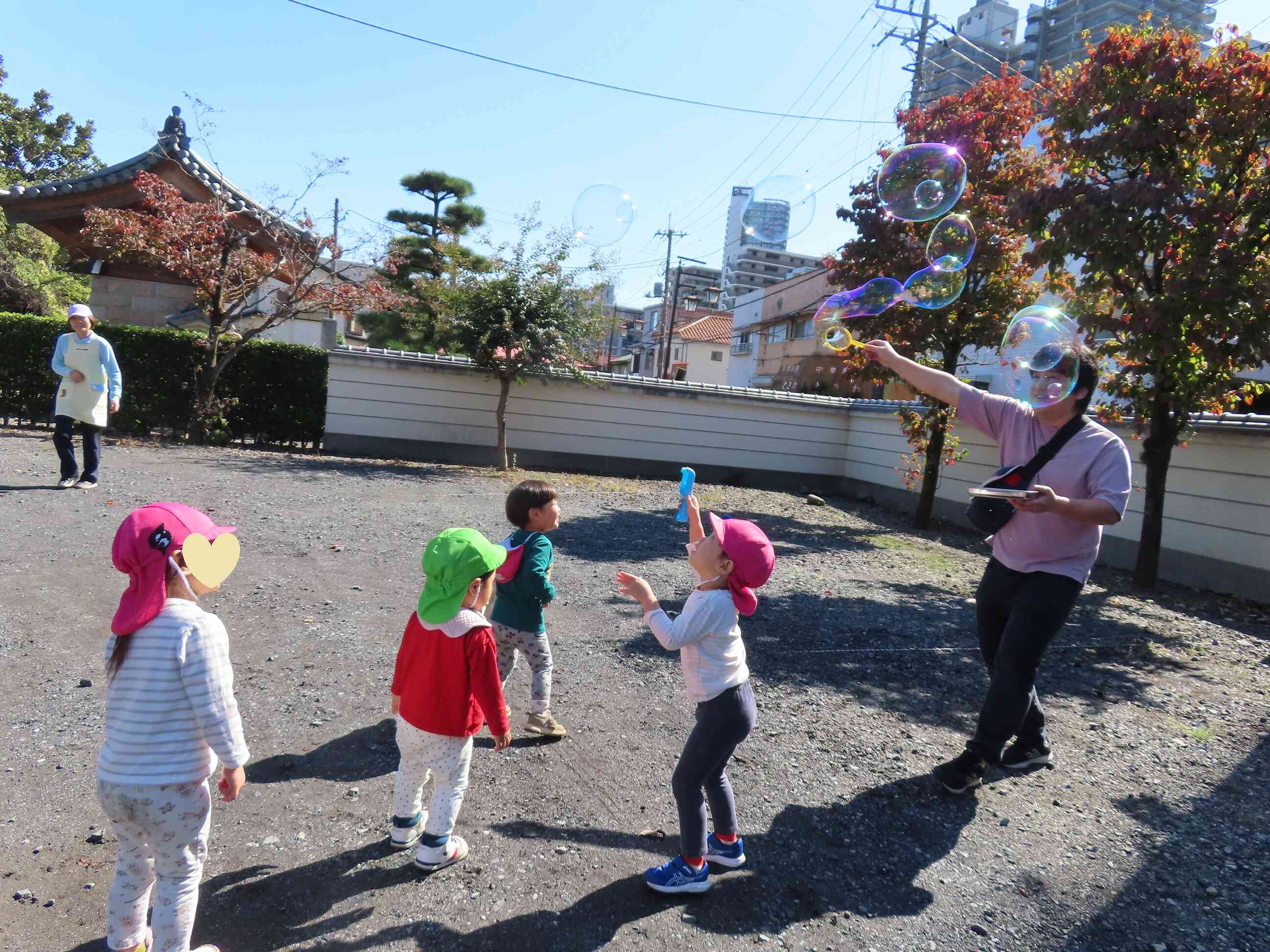 お散歩にも行きました。