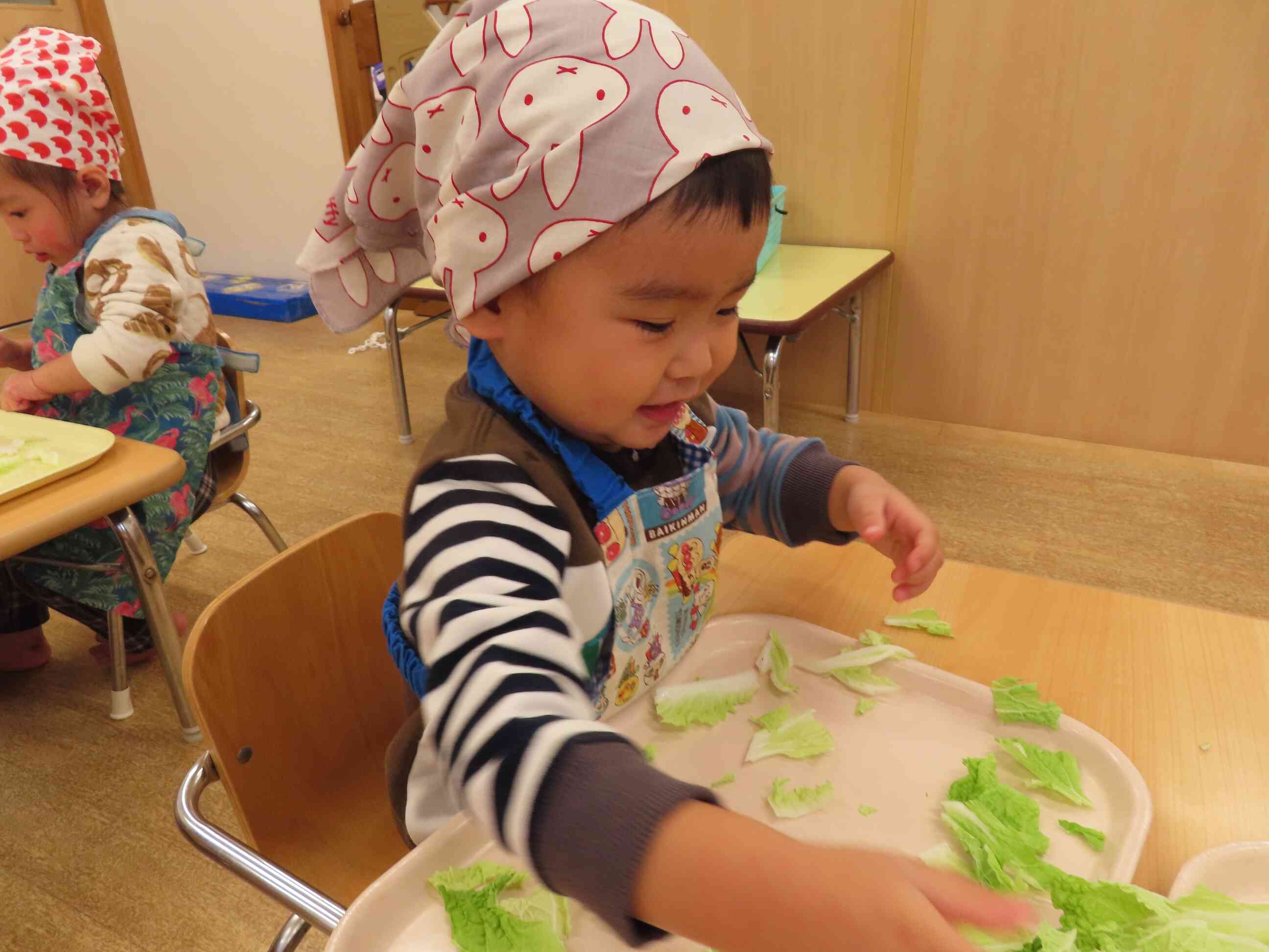 食育（白菜ちぎり）