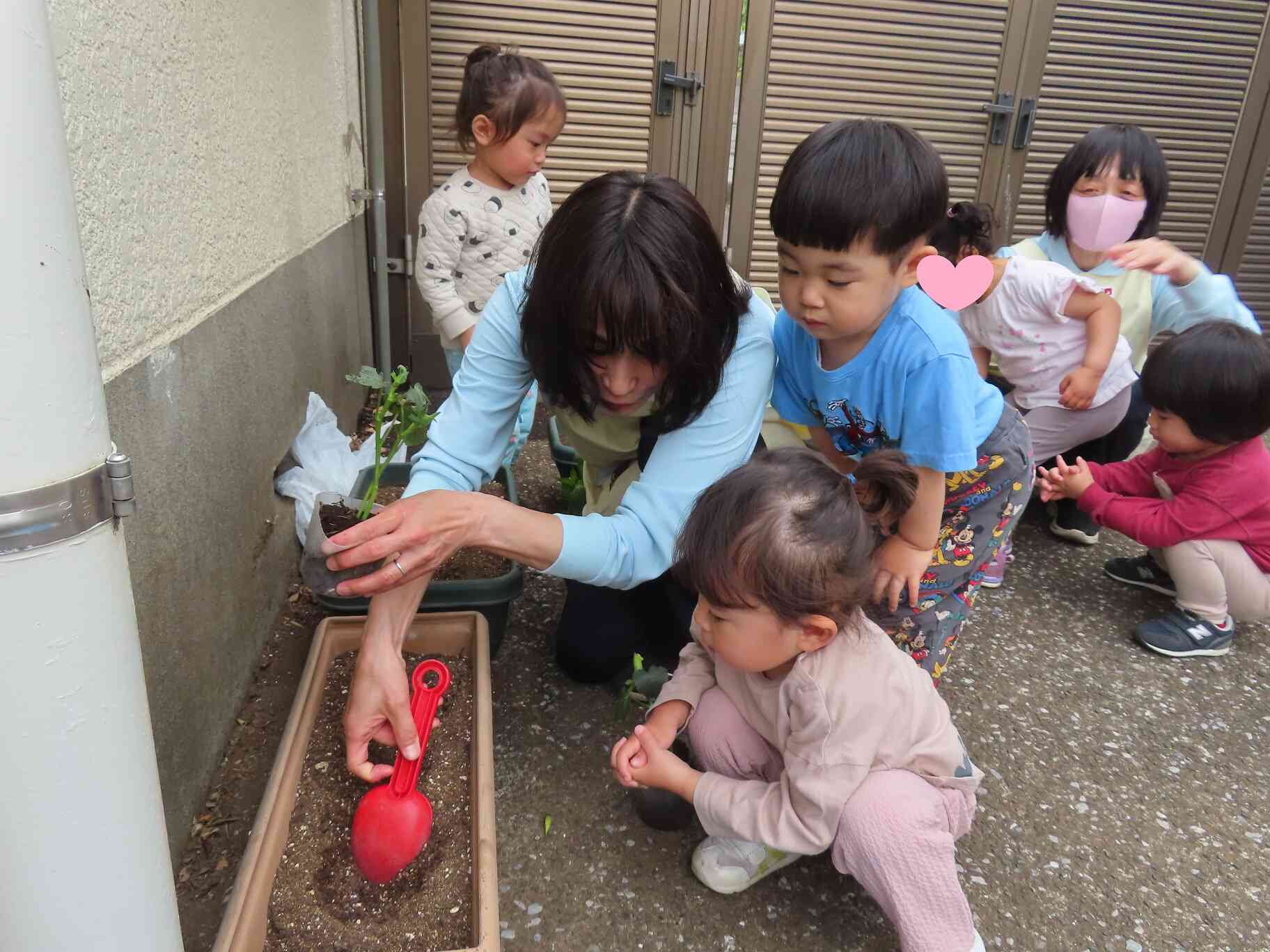 うさぎ組 苗植え