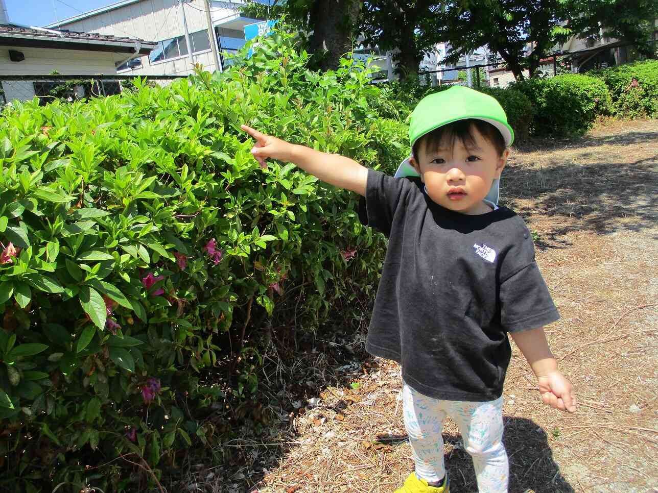 ブーンいたよ！