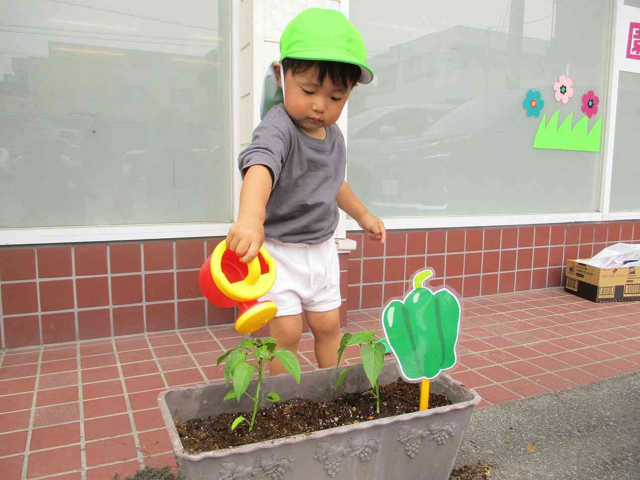 お水をあげて、今日の苗植えは完了！