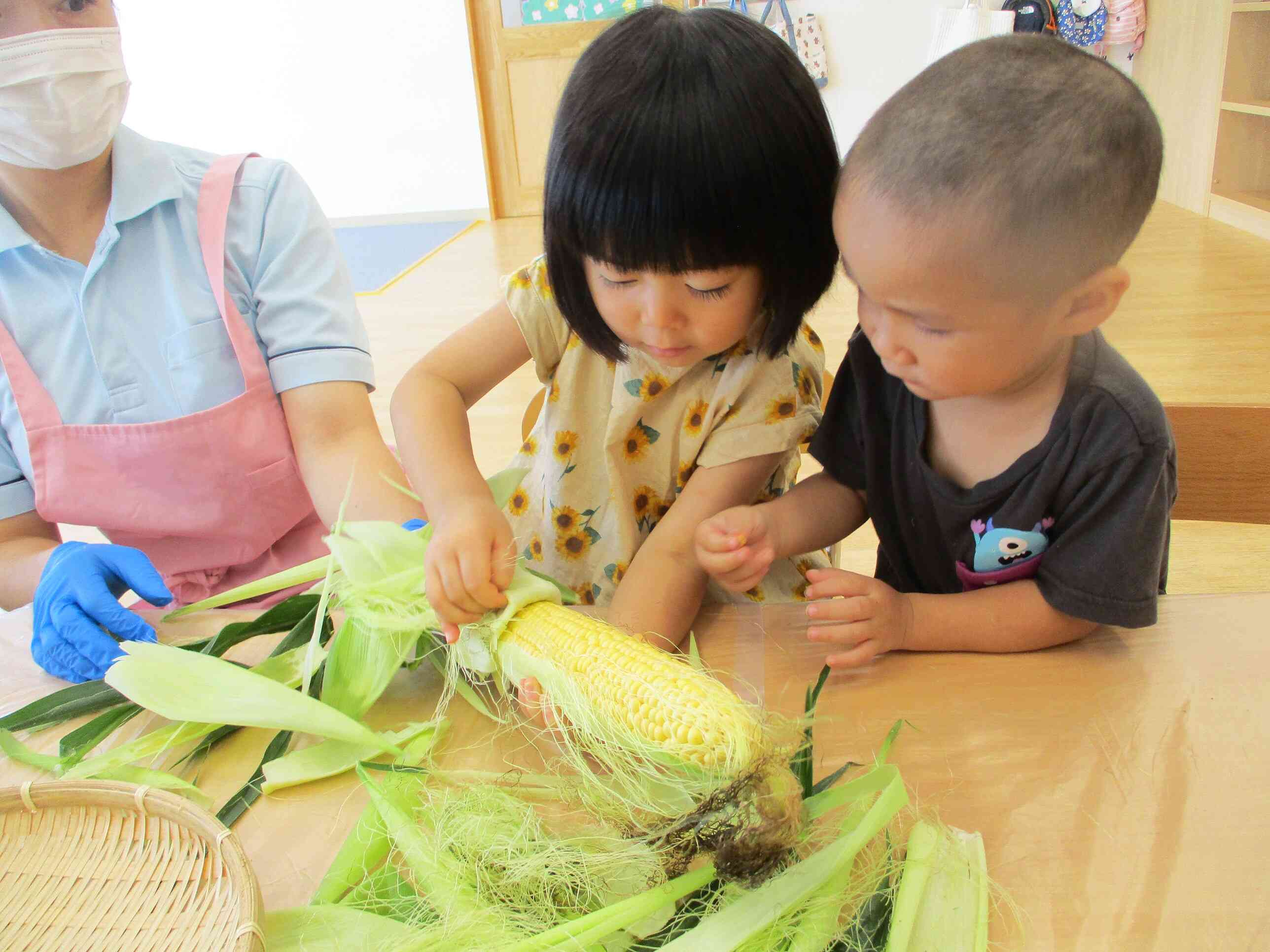 食育活動　とうもろこしの皮むき体験をしました
