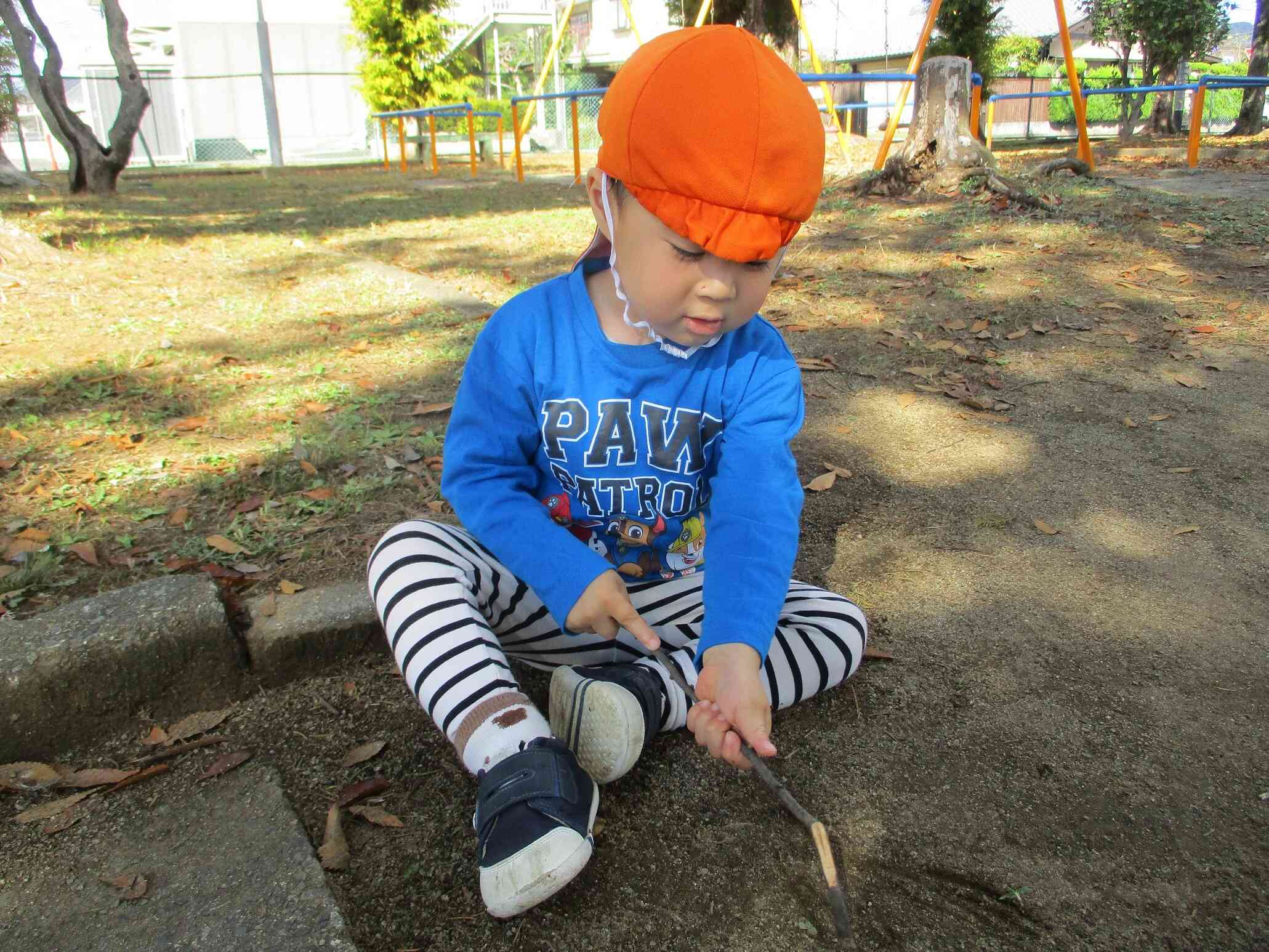 何か出てくるかな？