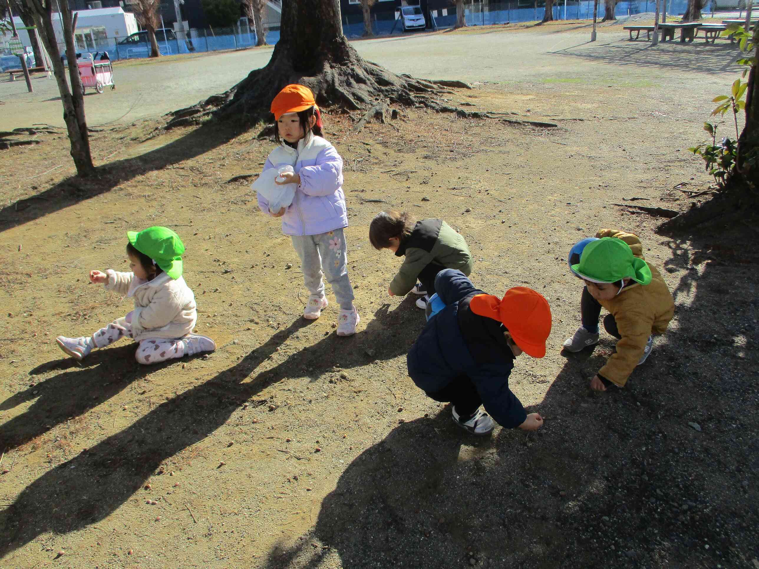 どんぐりころころ、ころころ、ころころ