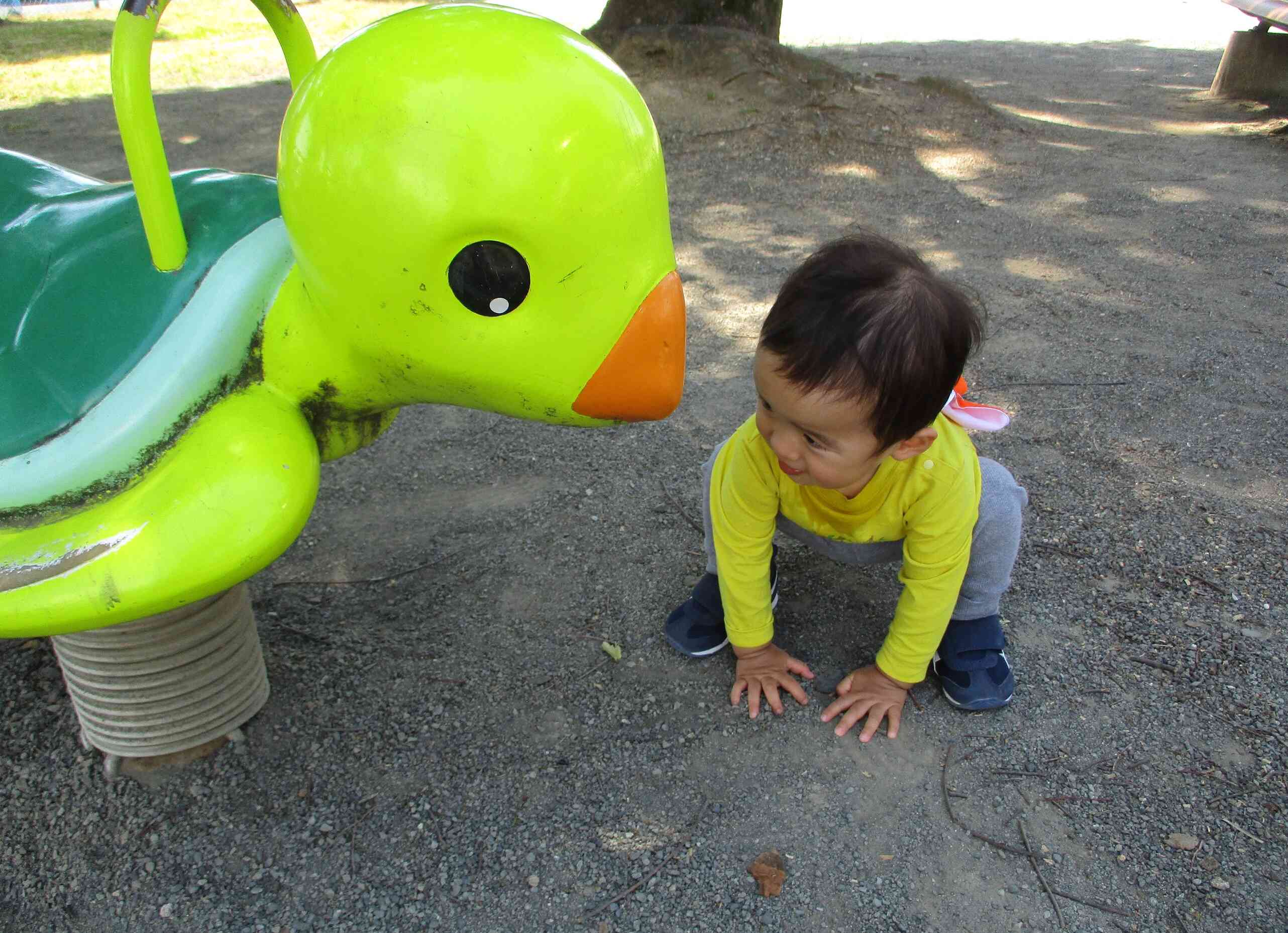 ニューフェイスです！　公園のカメさん、よろしくね！