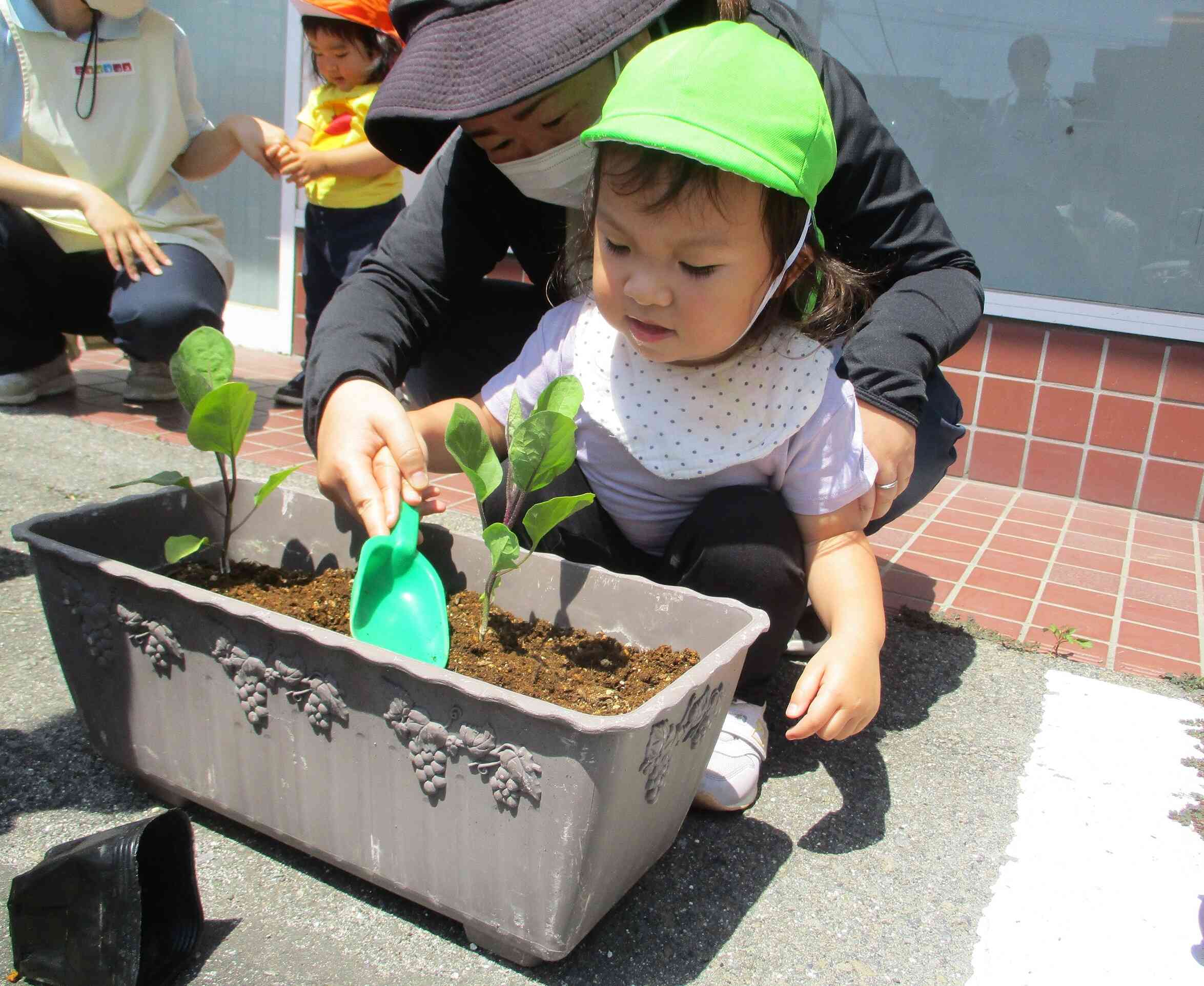 ５月の食育　～野菜の苗植え～