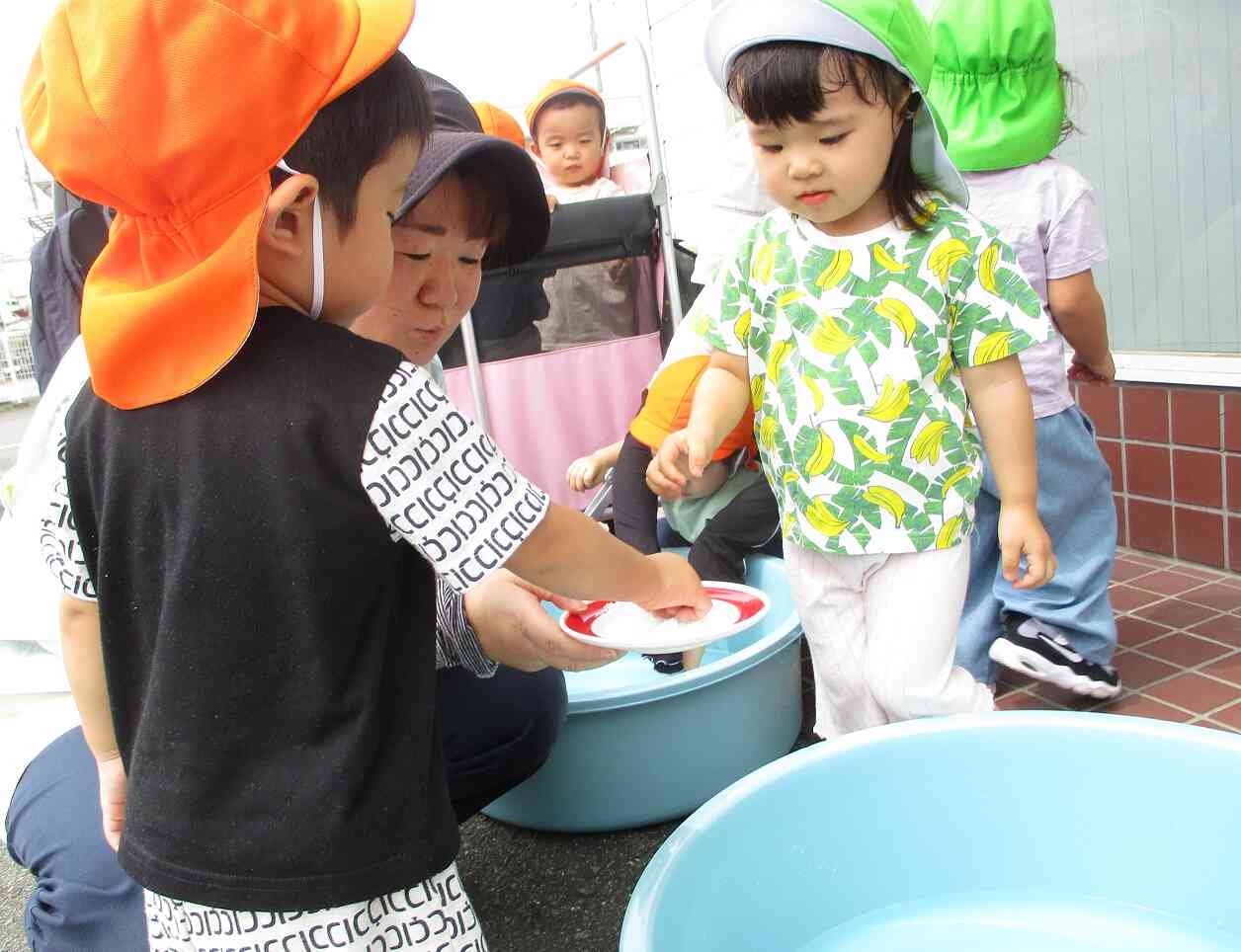 夏です！水あそびが始まります！