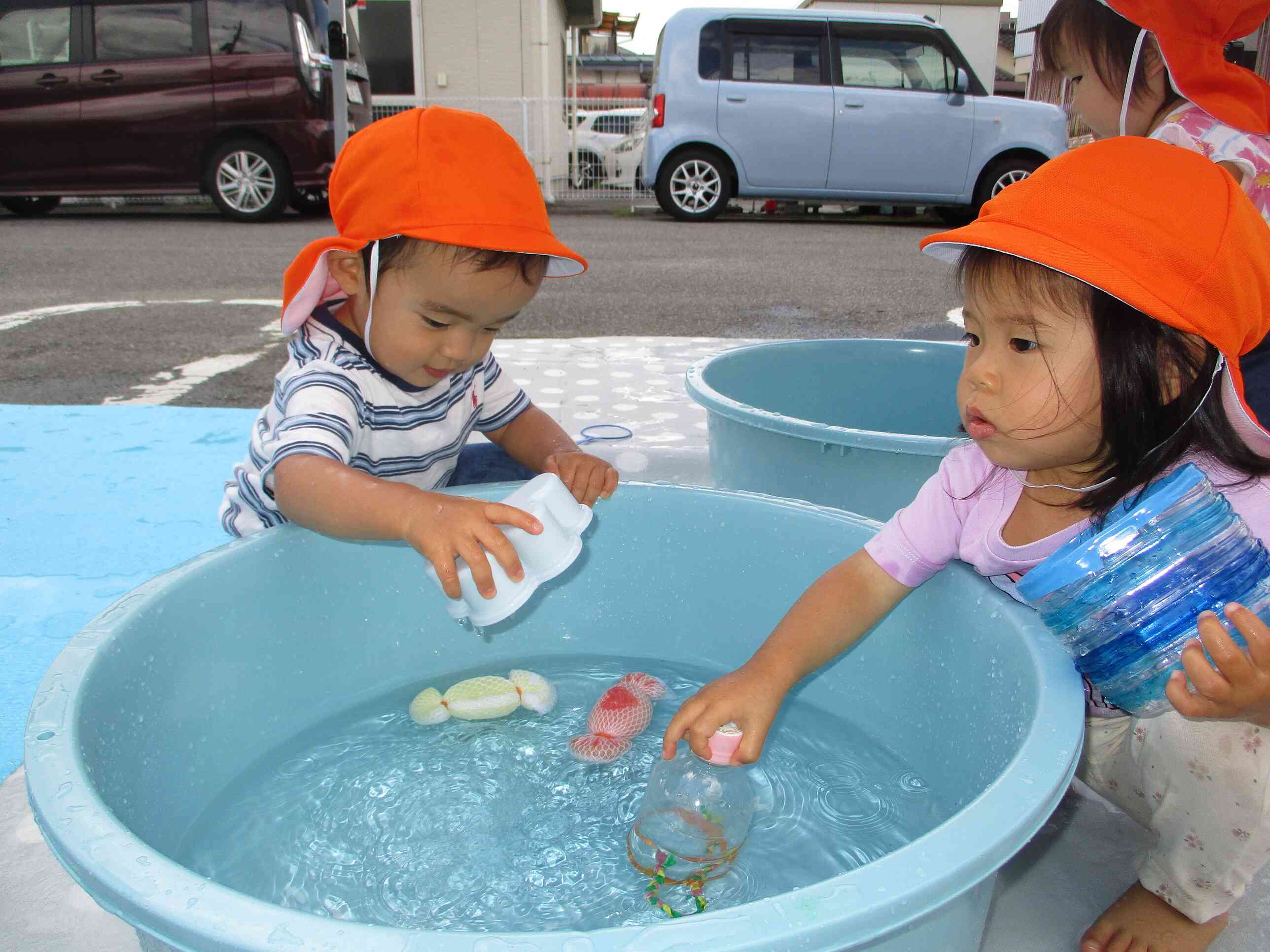 たらいの中のお魚やイカで遊びましょう