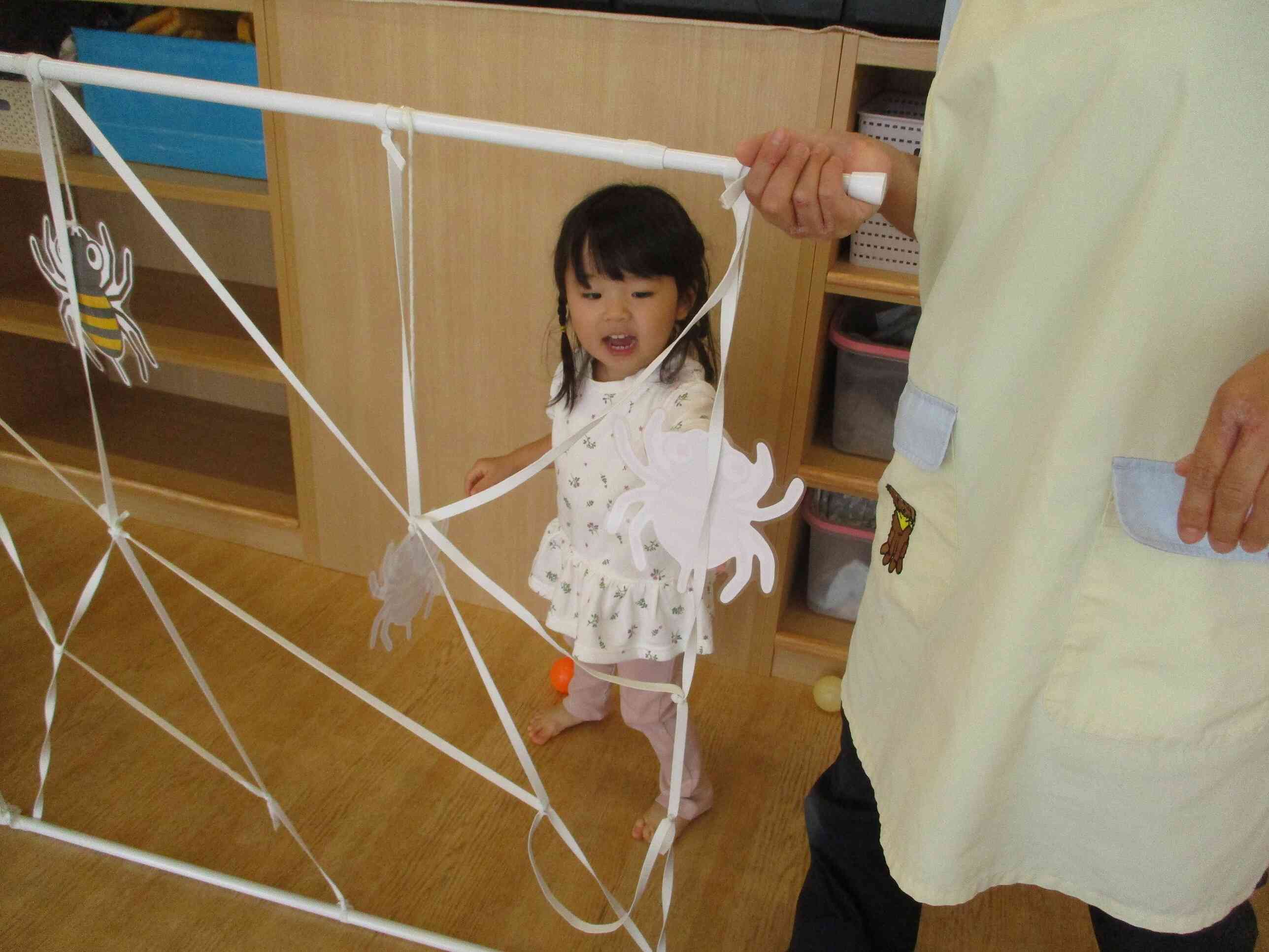 蜘蛛の巣だぞ～