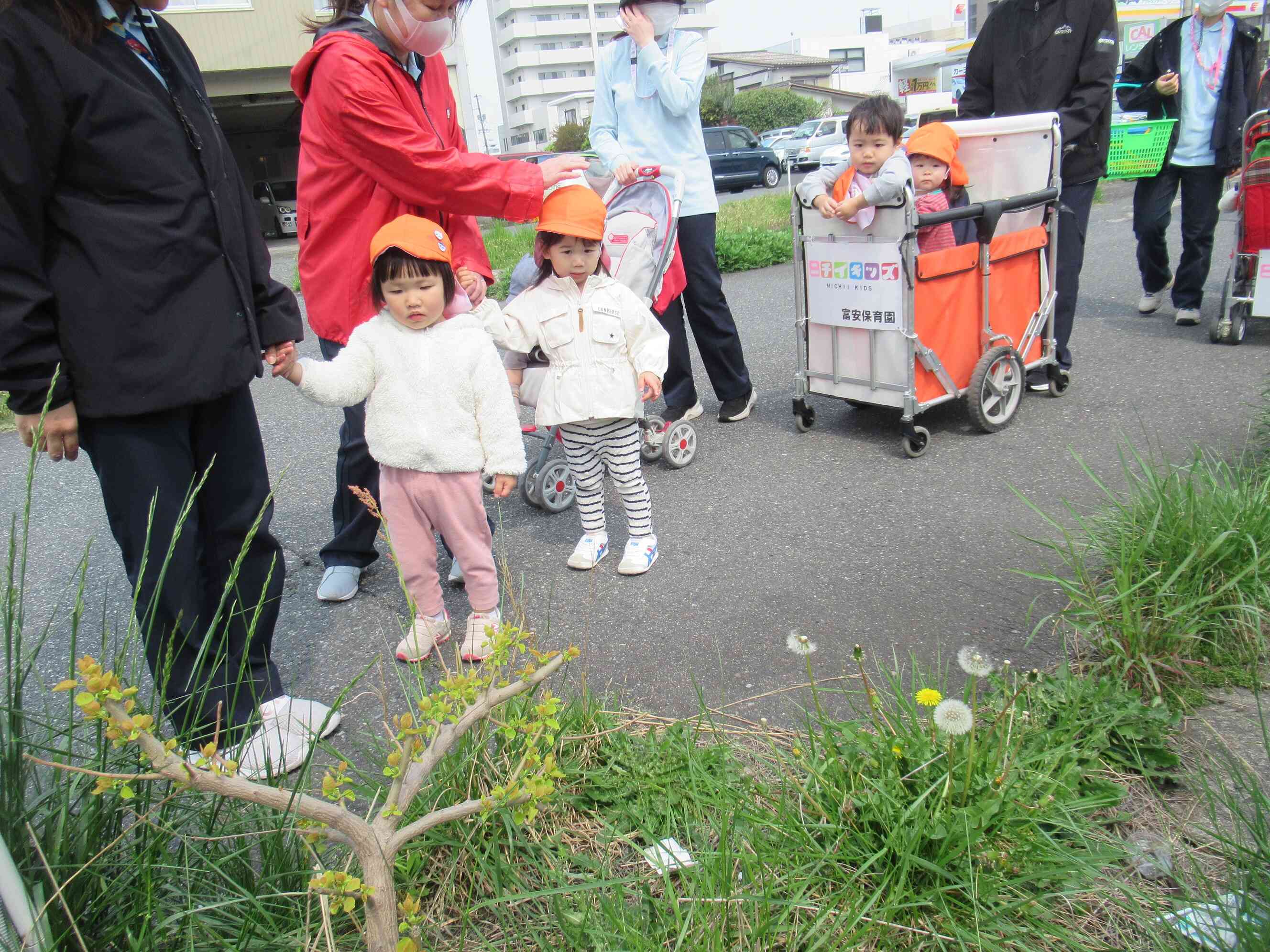 富安公園まで歩こう!