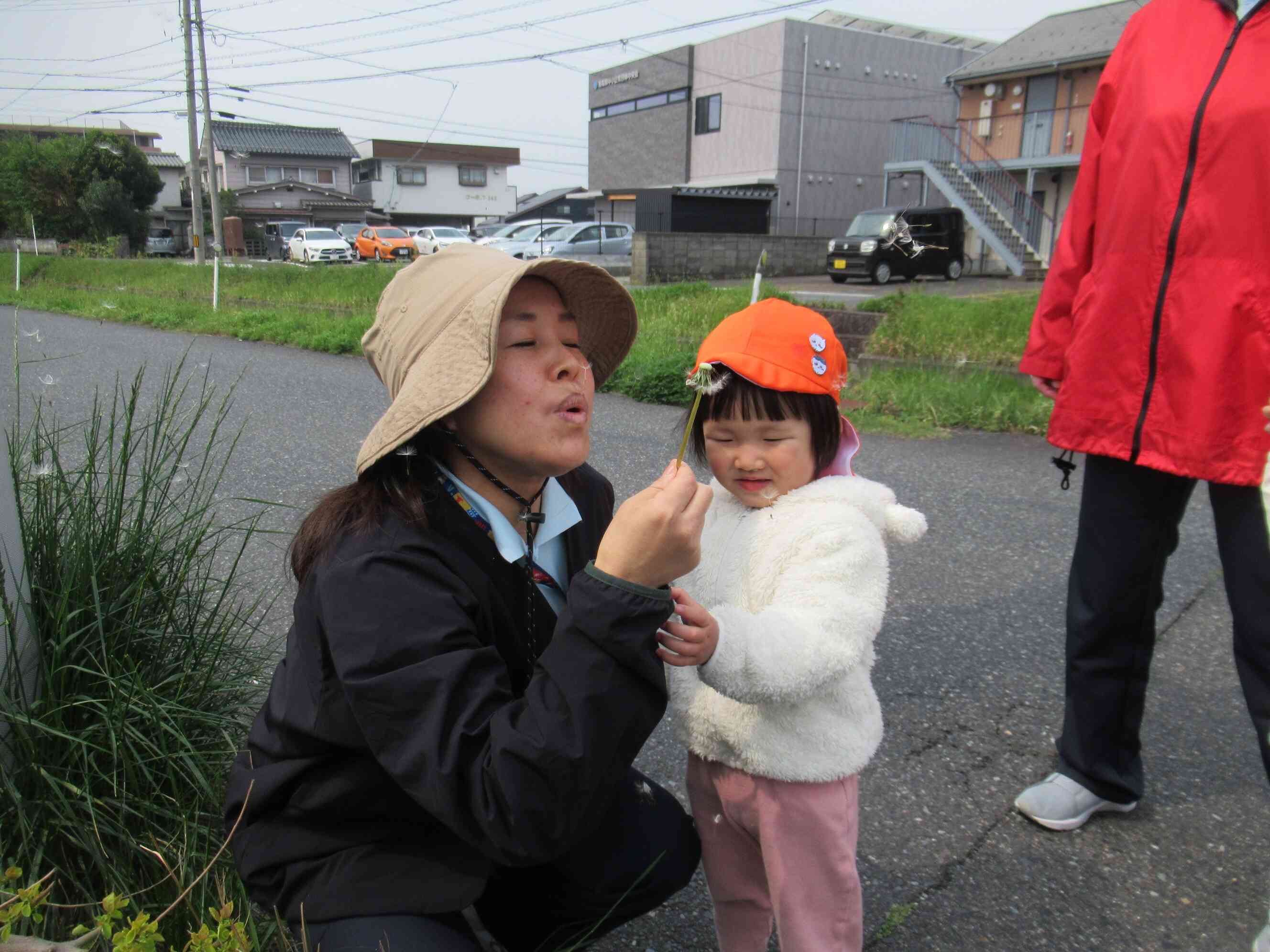 たくさんたんぽぽが咲いていたよ。ふ～っと綿毛が飛んで行ったね。