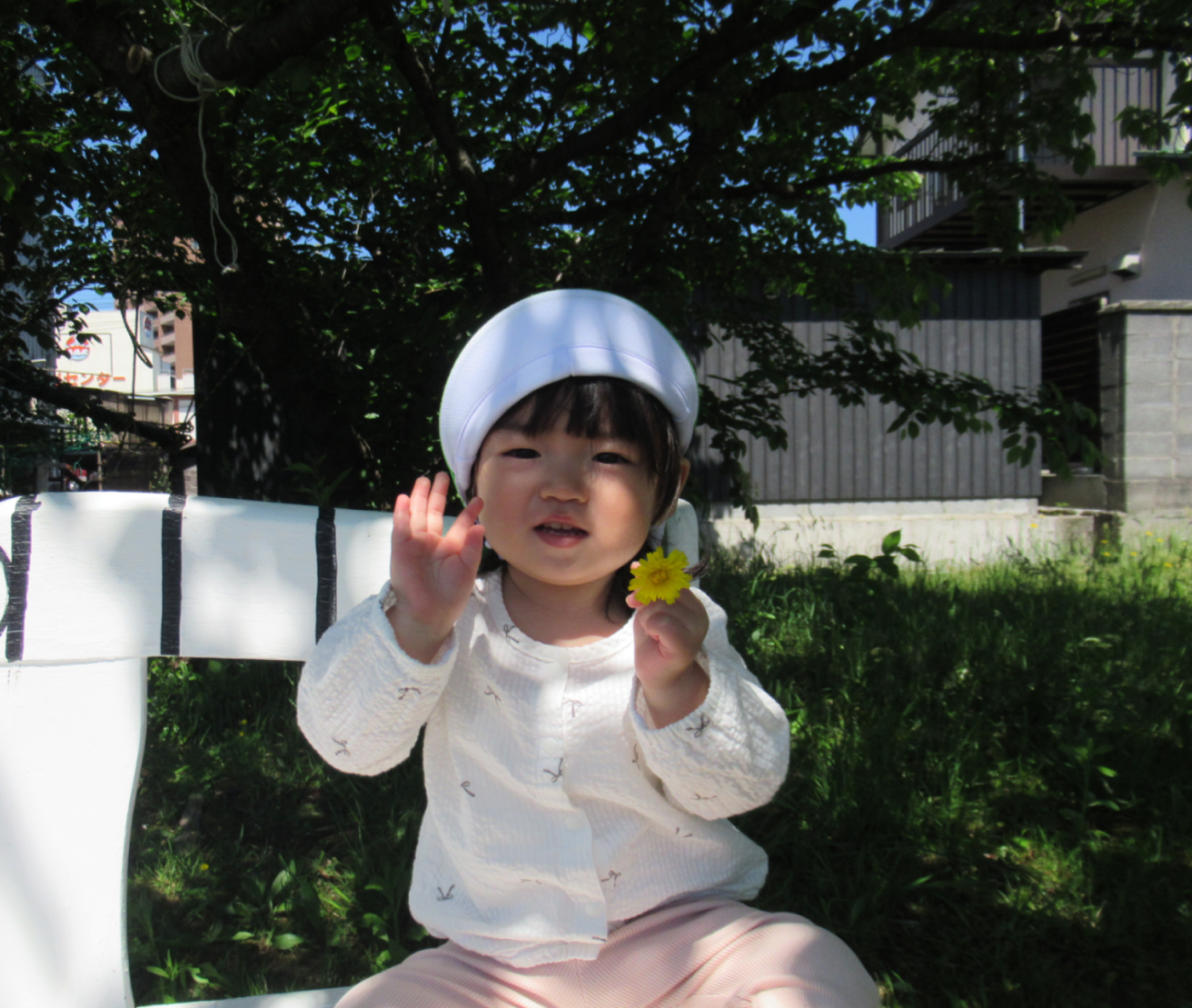 あひる組のEちゃん。たんぽぽ見つけたよ！