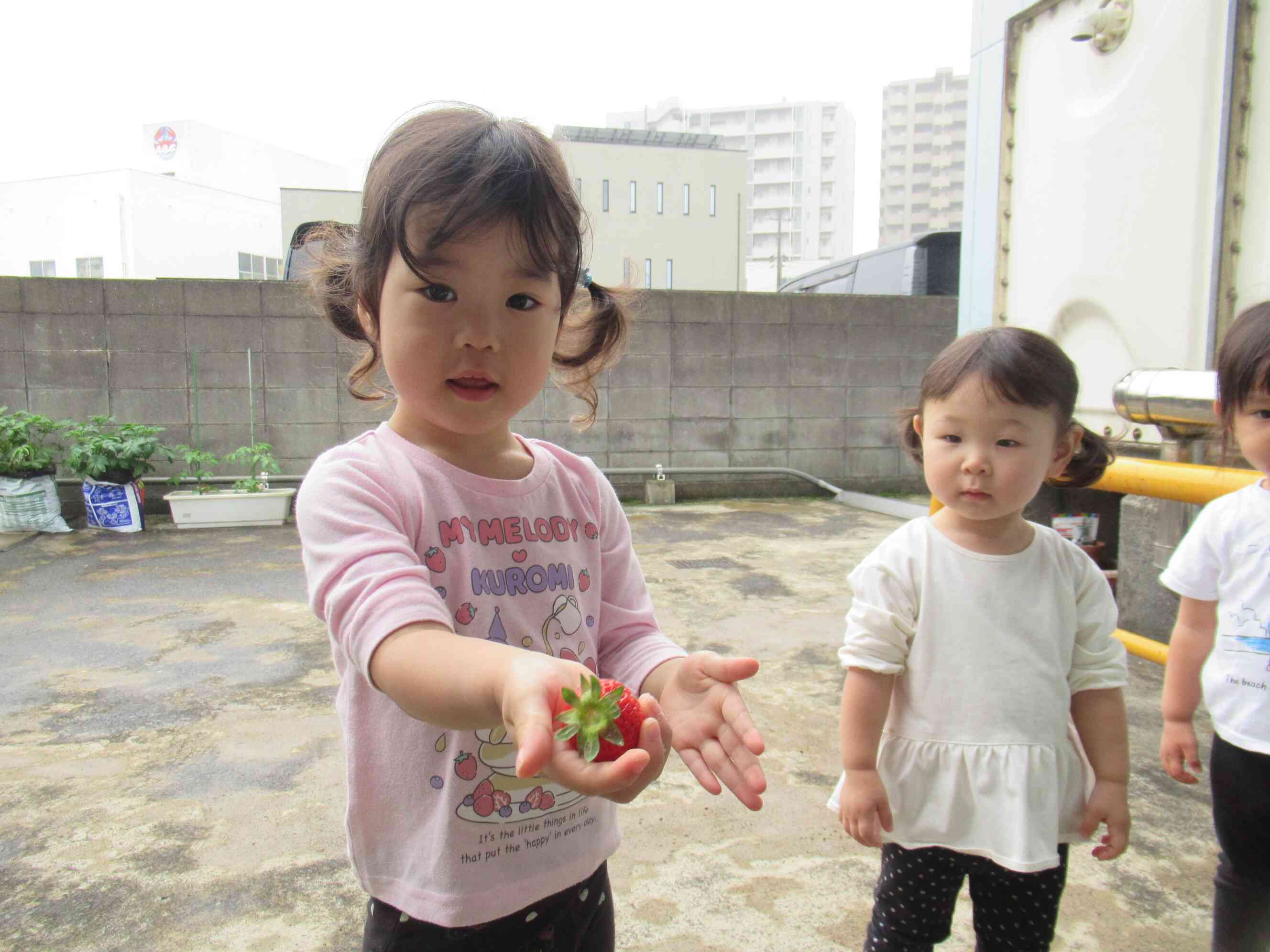 見て見て～と嬉しそうなRちゃん。