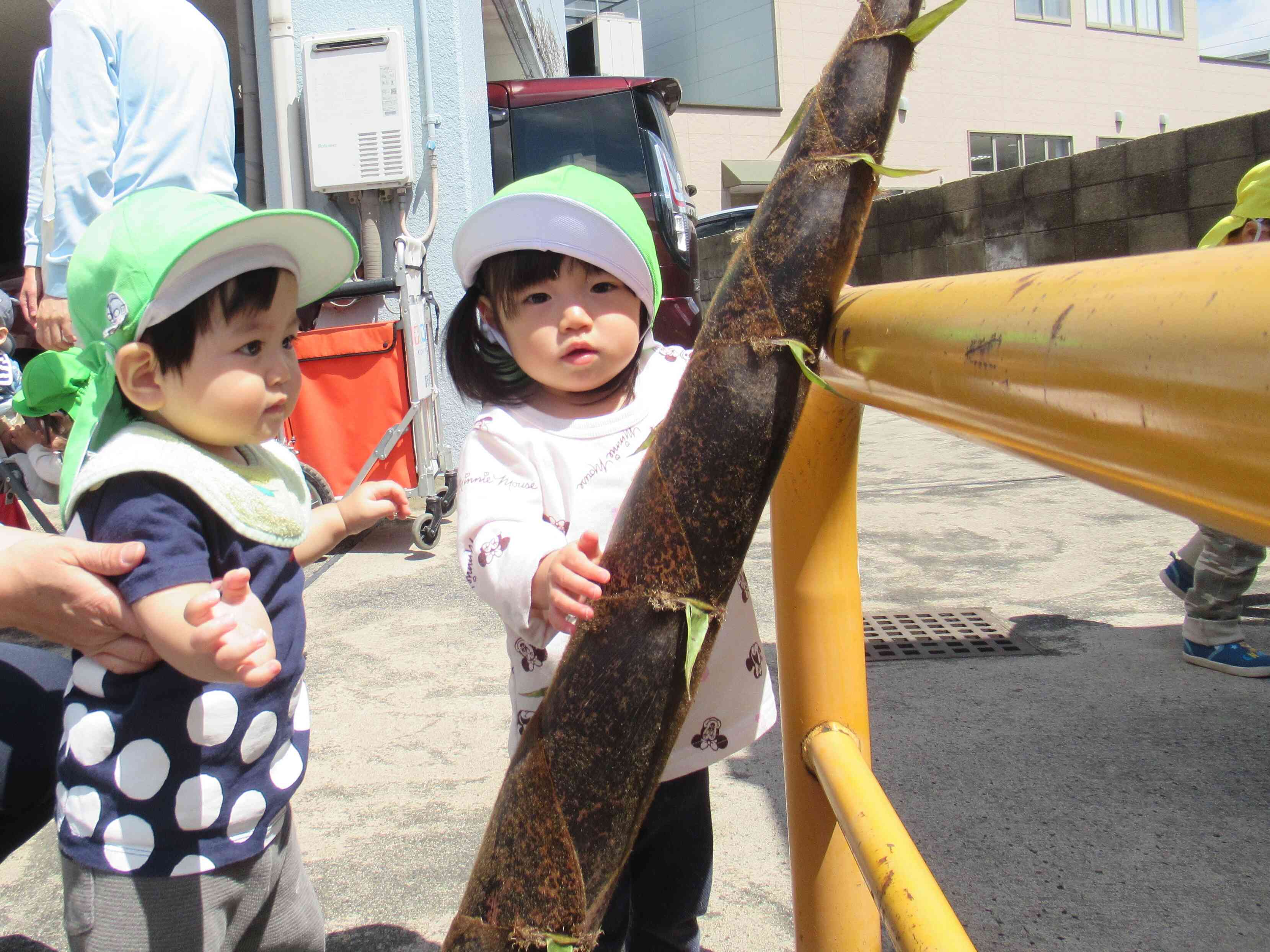 「これ、何だろう？」「触ってみようかな…」先生が持ってきてくれた”たけのこ”に興味津々の子どもたち。長く伸びたたけのこと背比べしたよ。