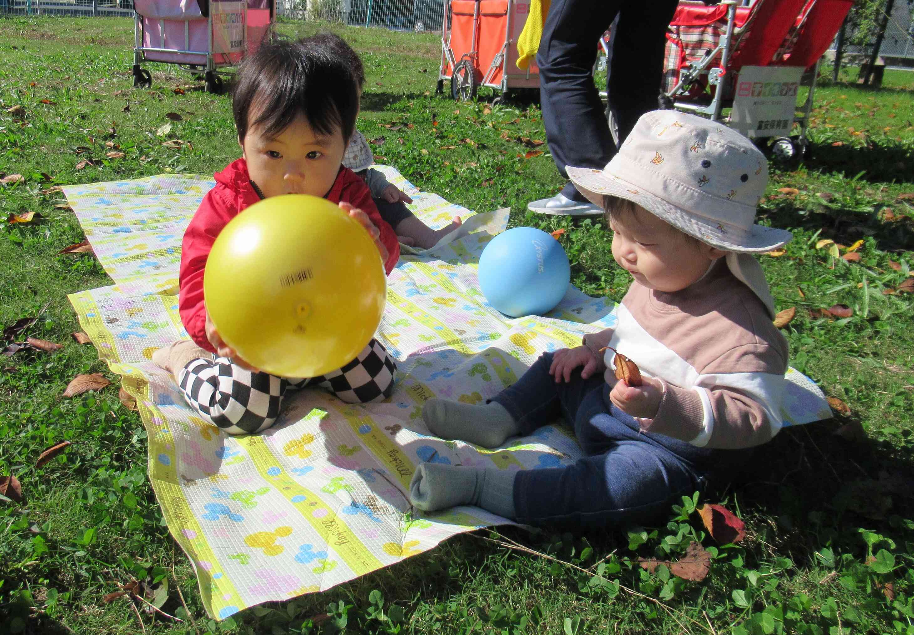 公園でのひなたぼっこ ぽかぽか陽気で気持ちがいいね。