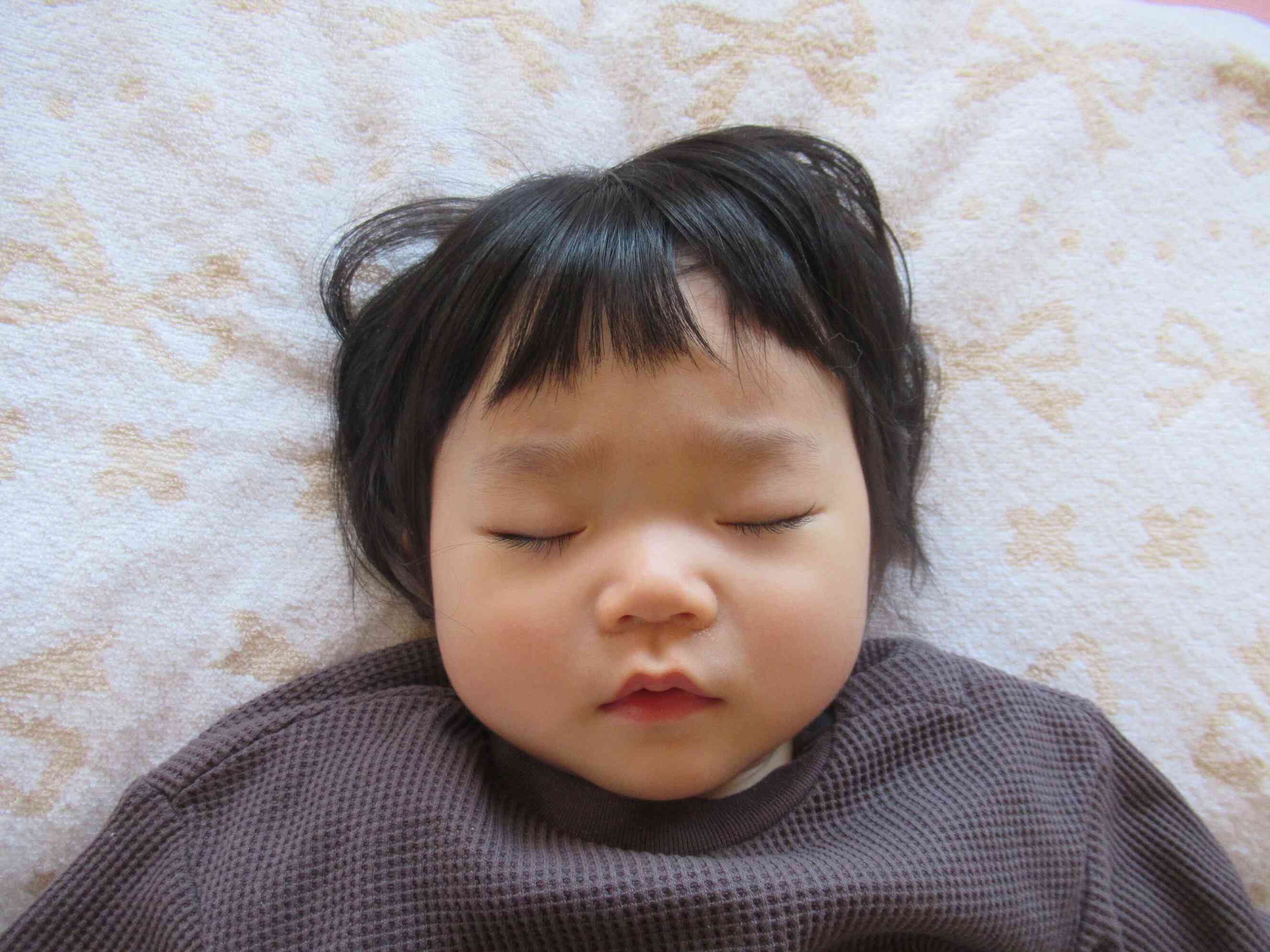 スヤスヤお昼寝。どんな夢をみているのかな？