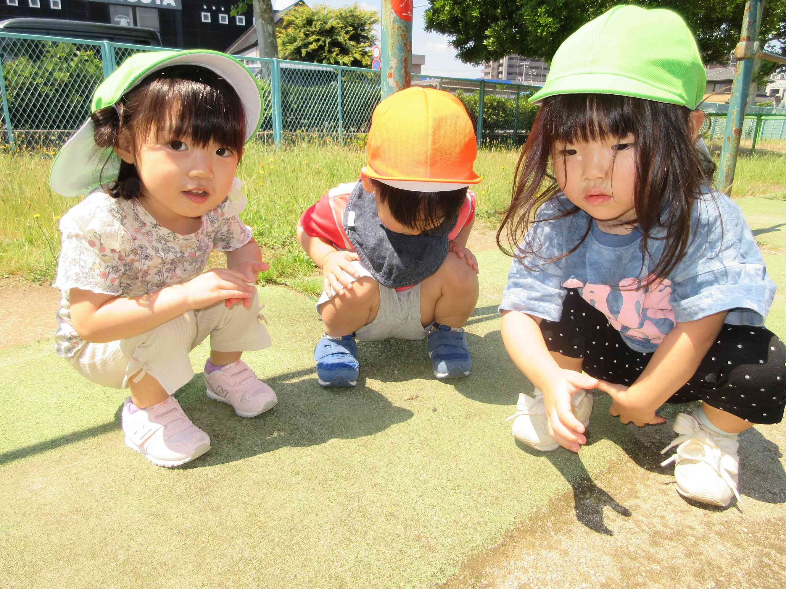 ありさんがいる！