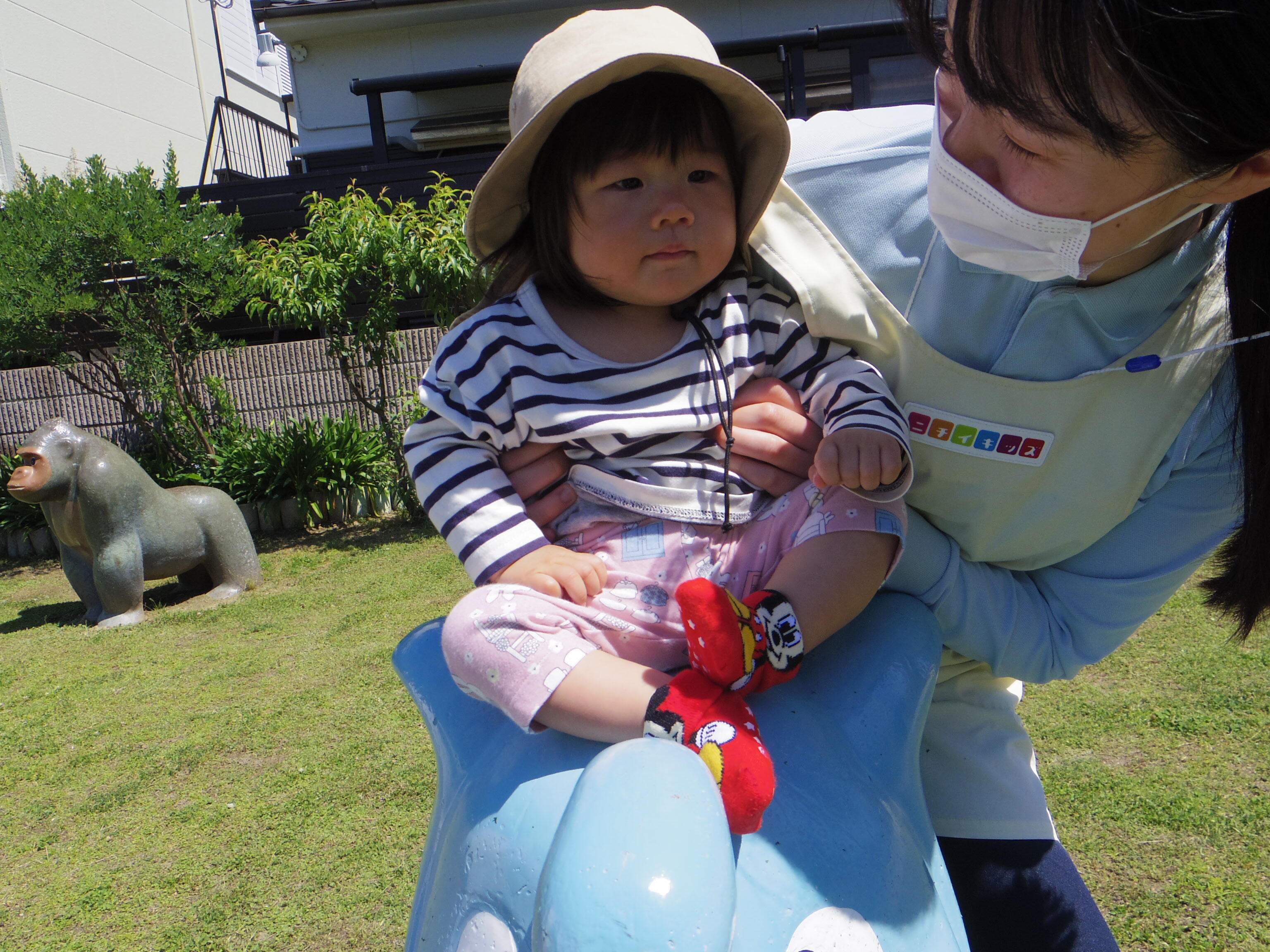 ゾウさんにのったよ