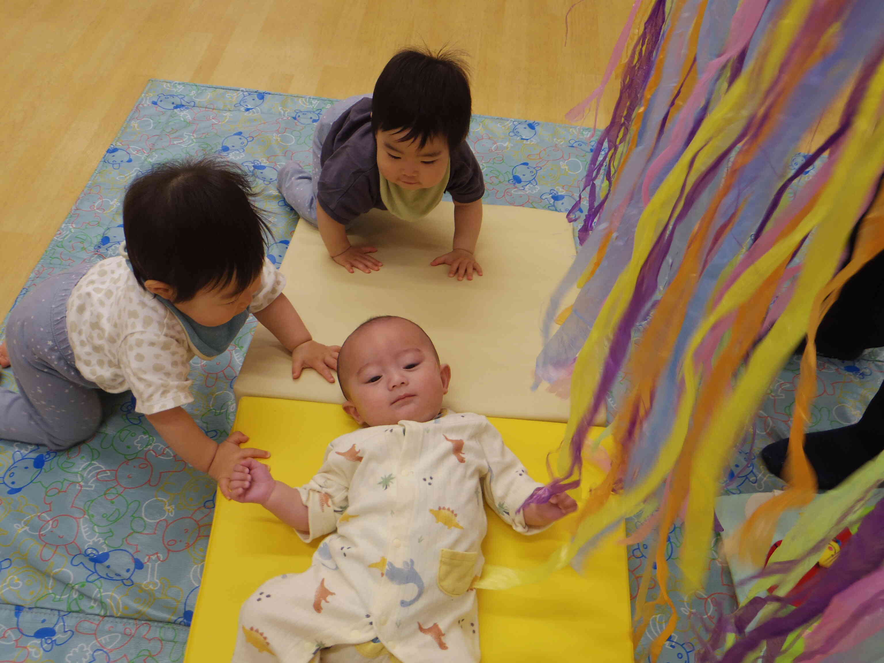 園見学や活動体験会・座談会に参加しよう！