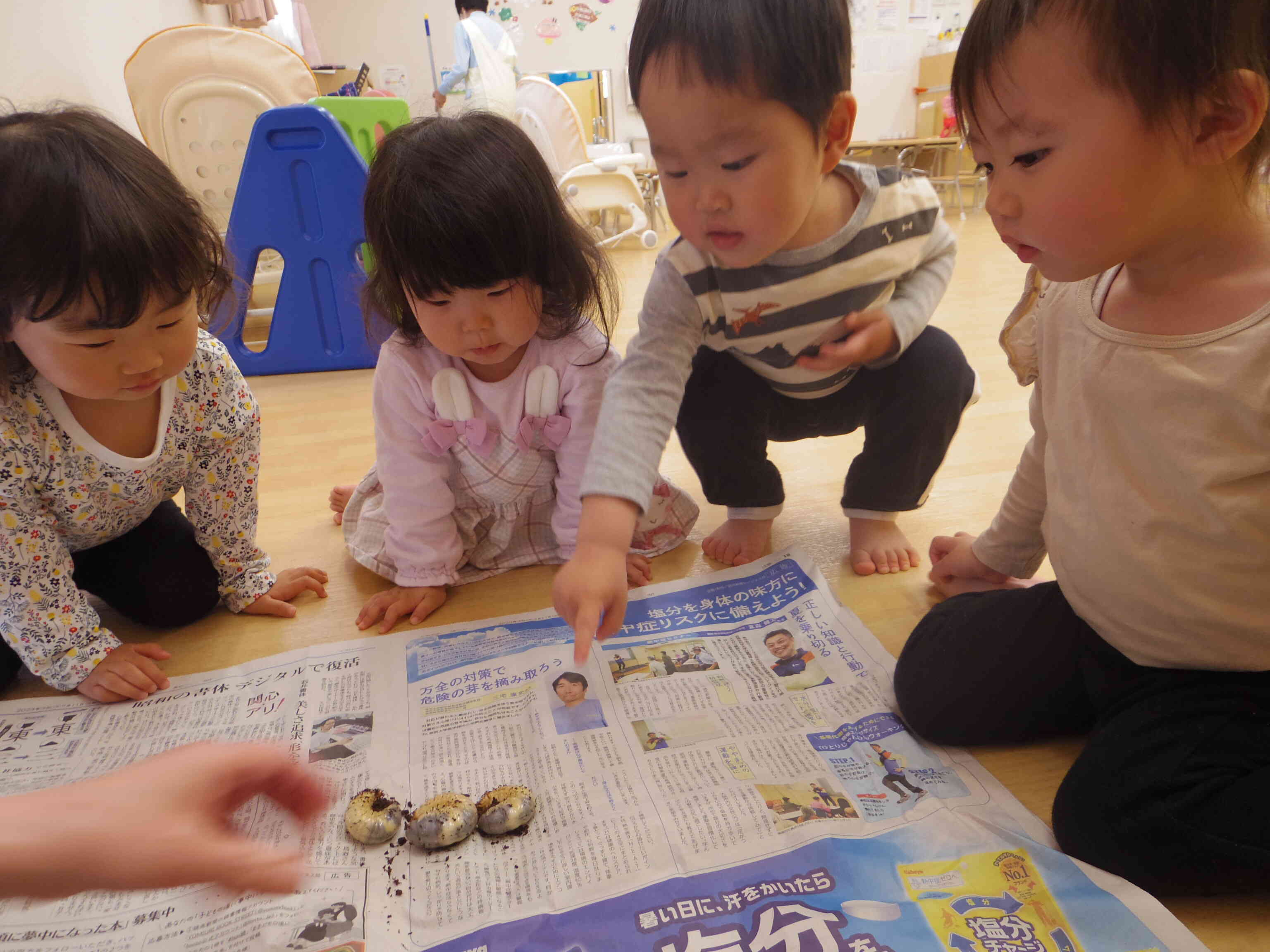 カブトムシの幼虫観察