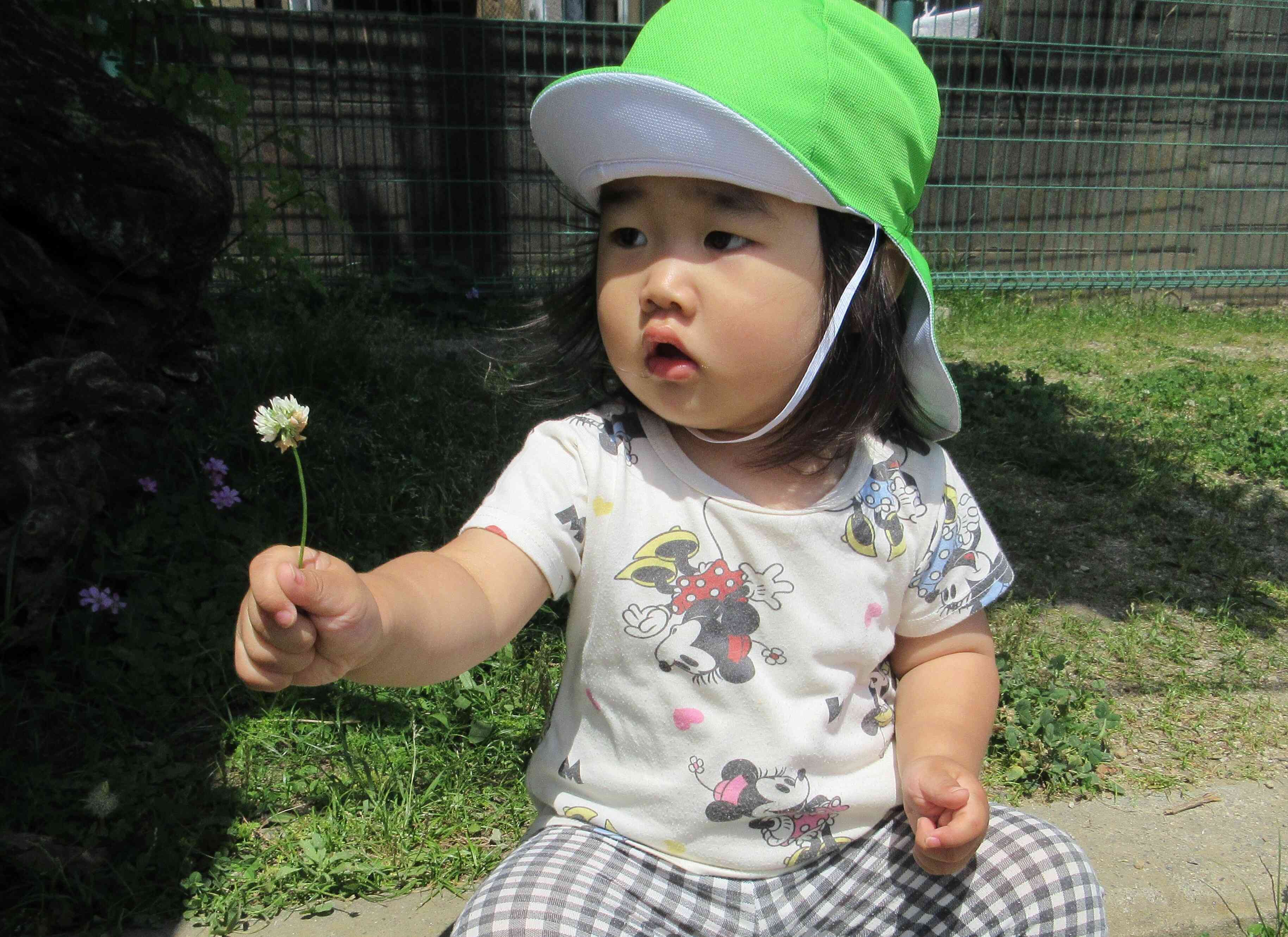 お花みーつけた