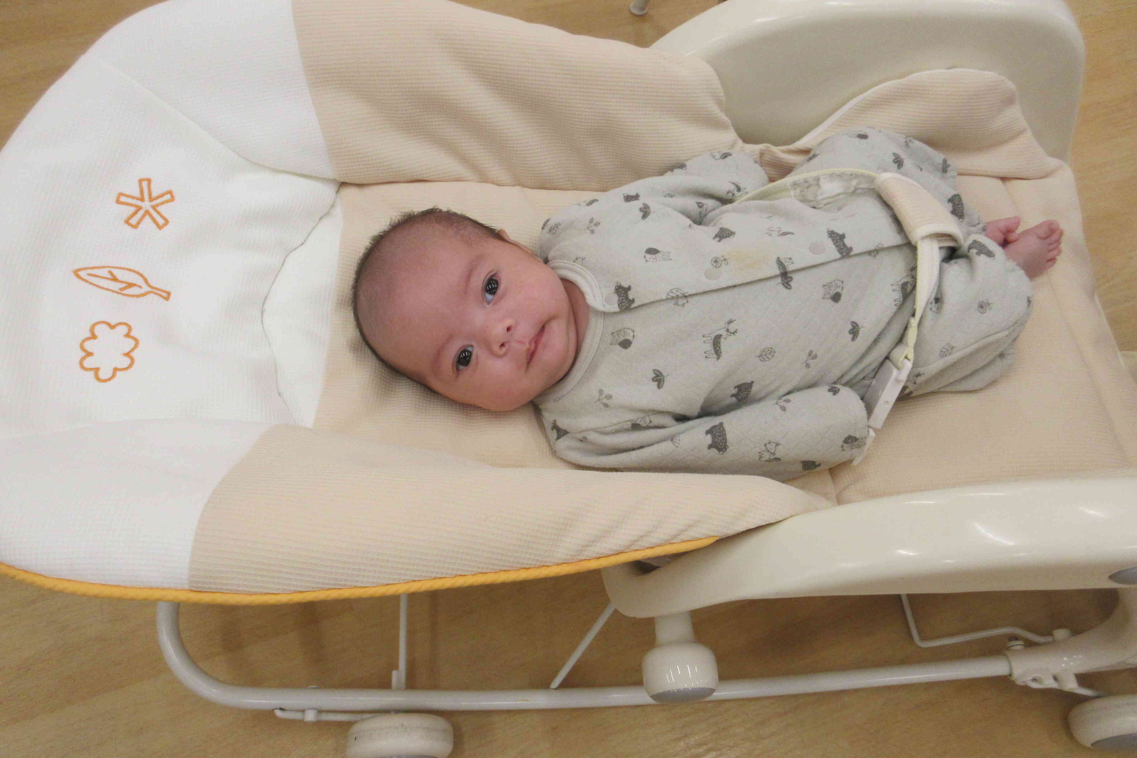（ひよこ組・0歳児）新しいお友だち☆