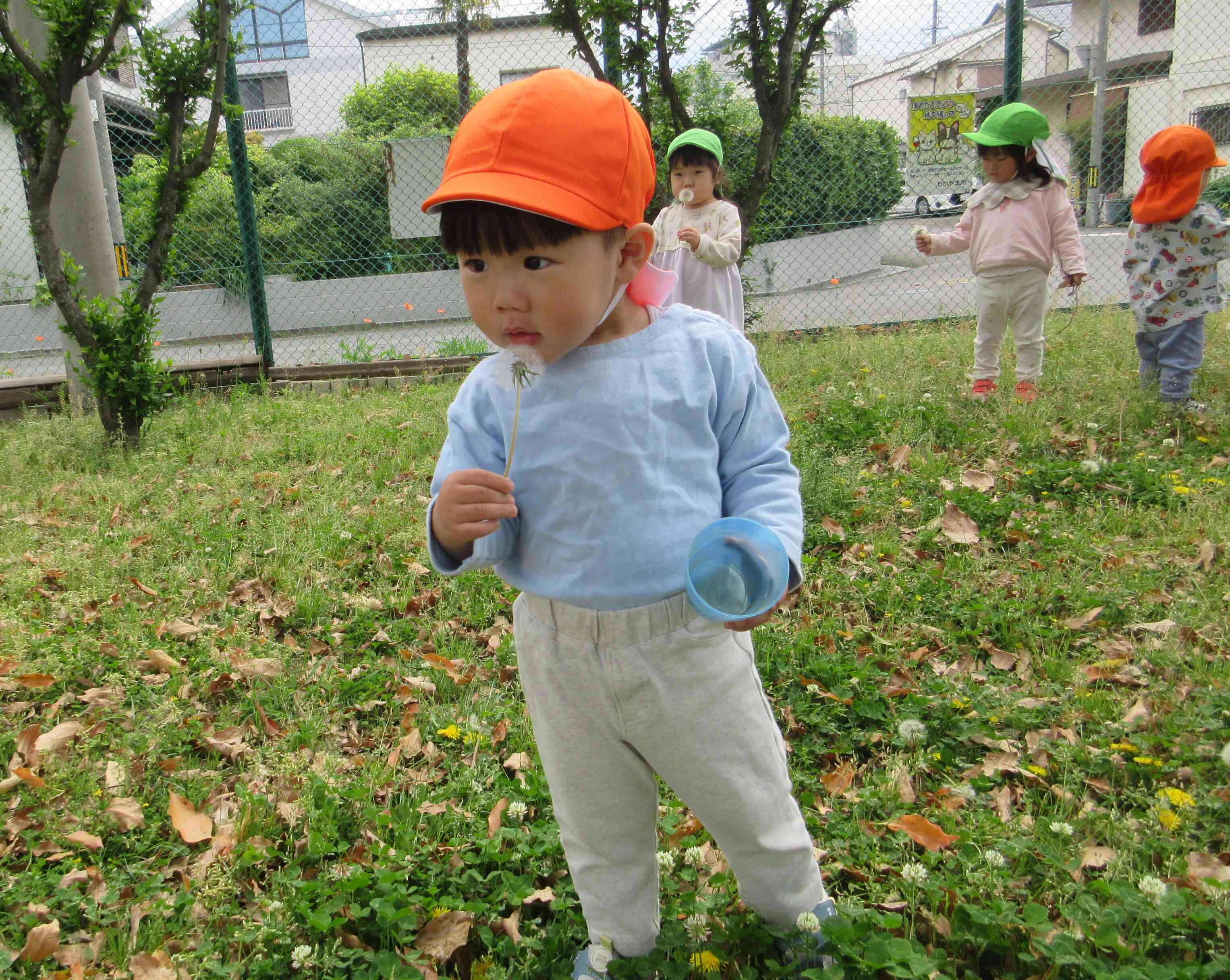 (あひる組・1歳児)わたげ飛んでいけー!
