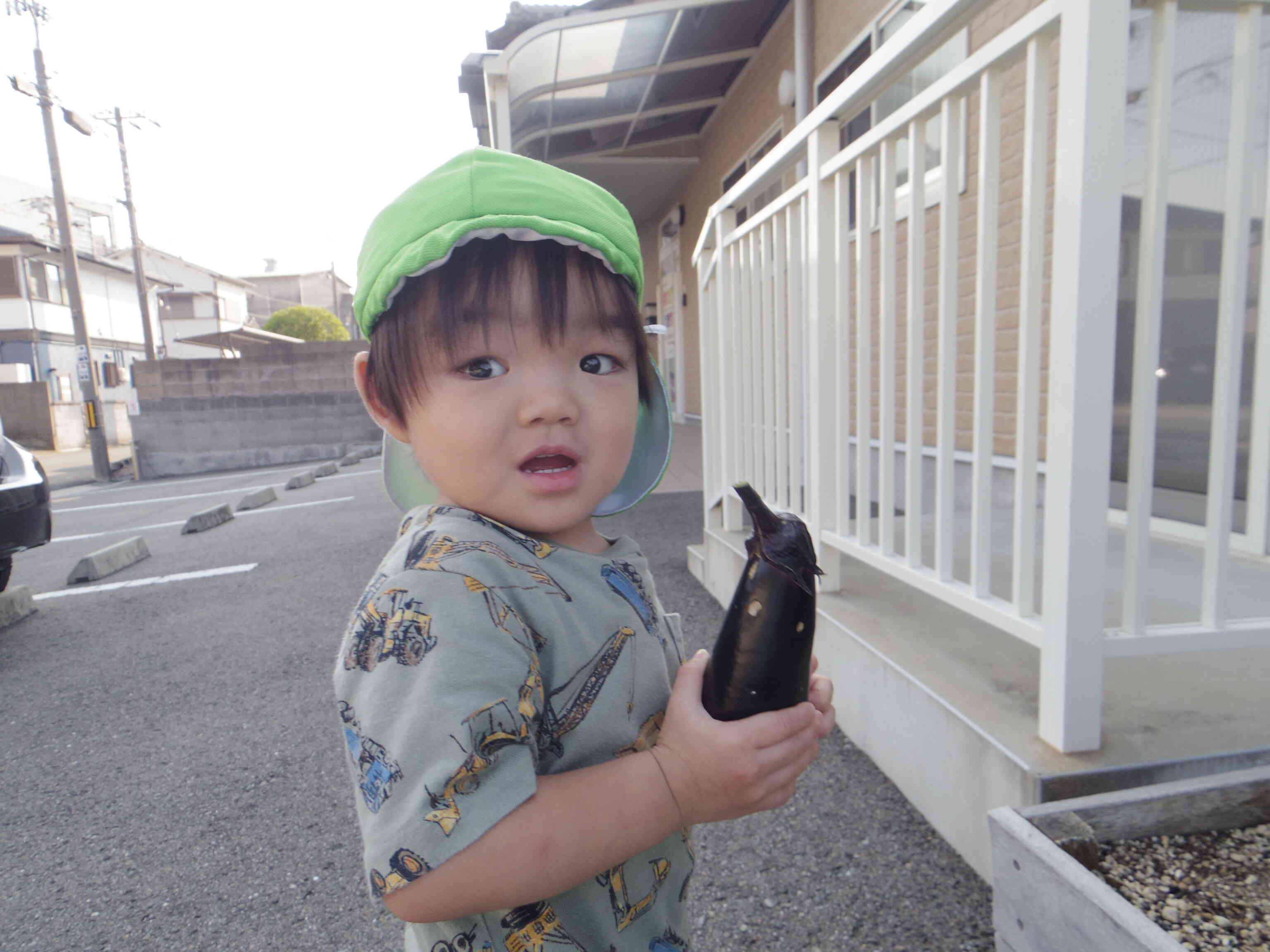 なすび取れたー！
