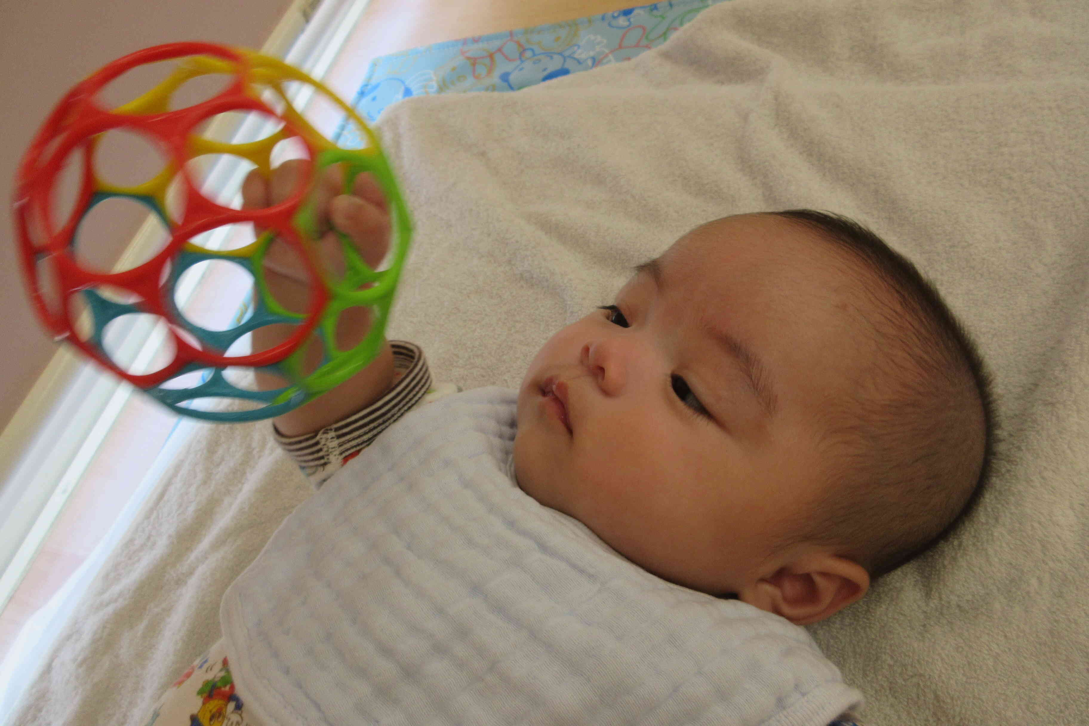（ひよこ組、０歳児）おもちゃにぎって、見つけてたよ！