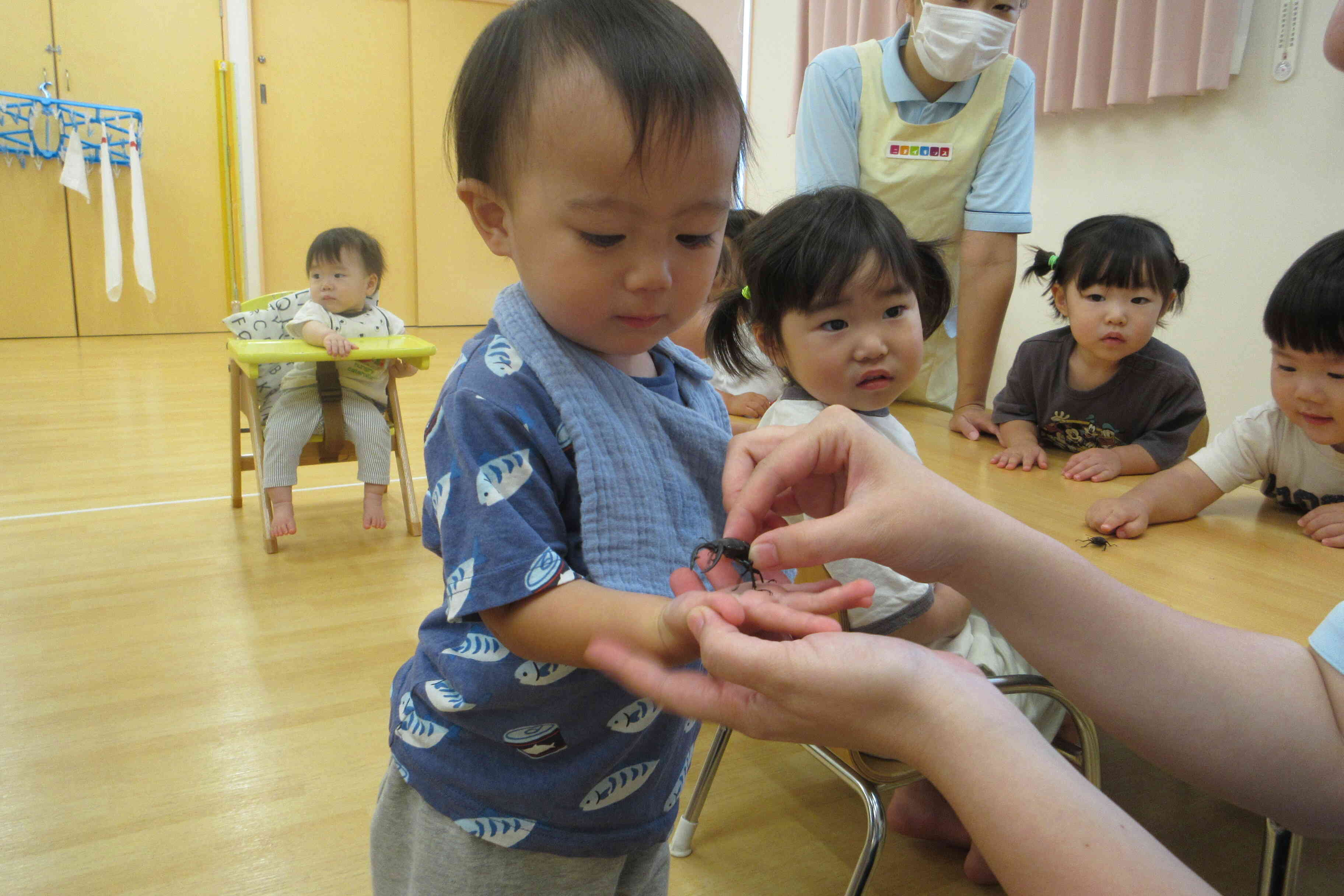 クワガタが仲間入り!!