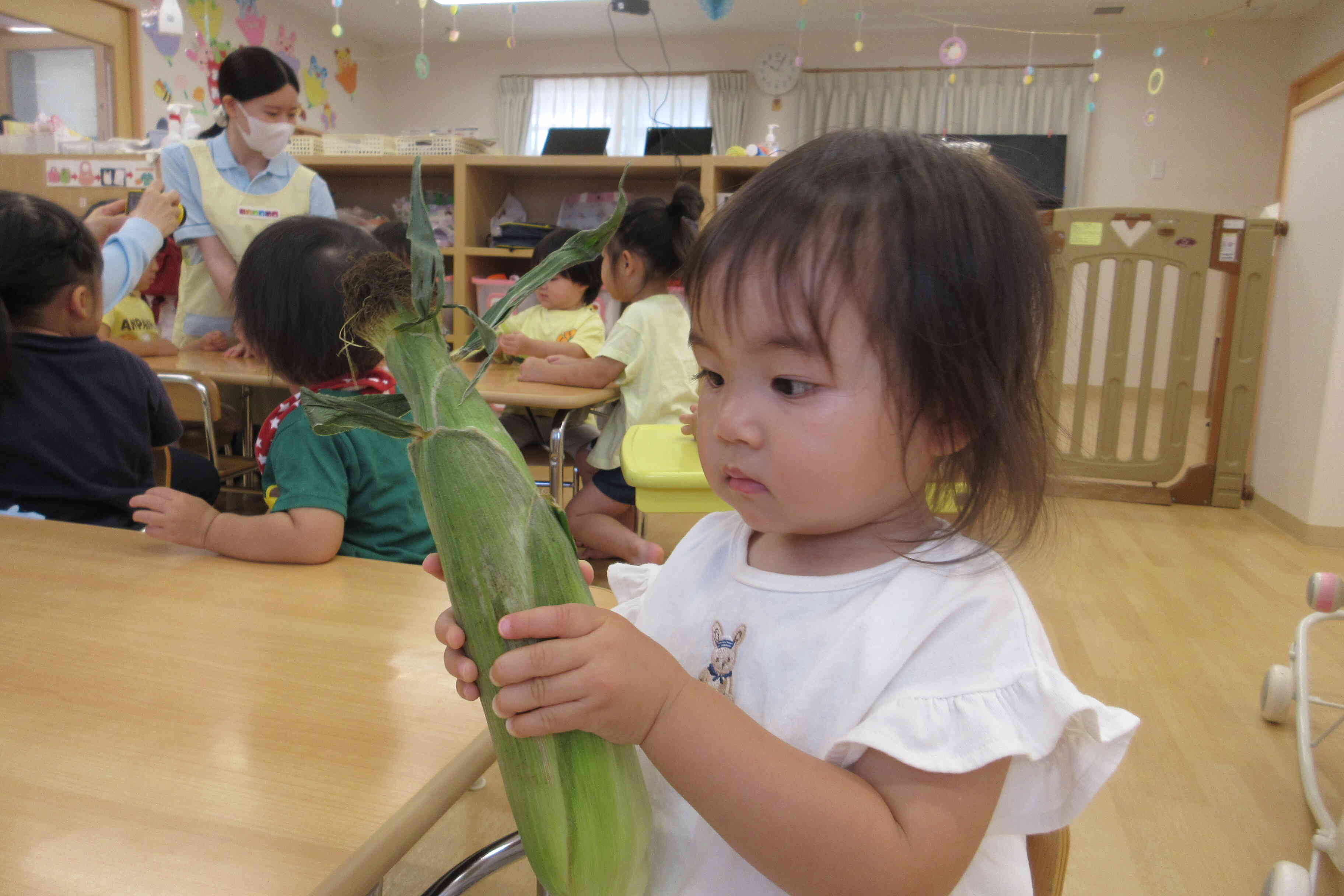 大きいトウモロコシだね！！