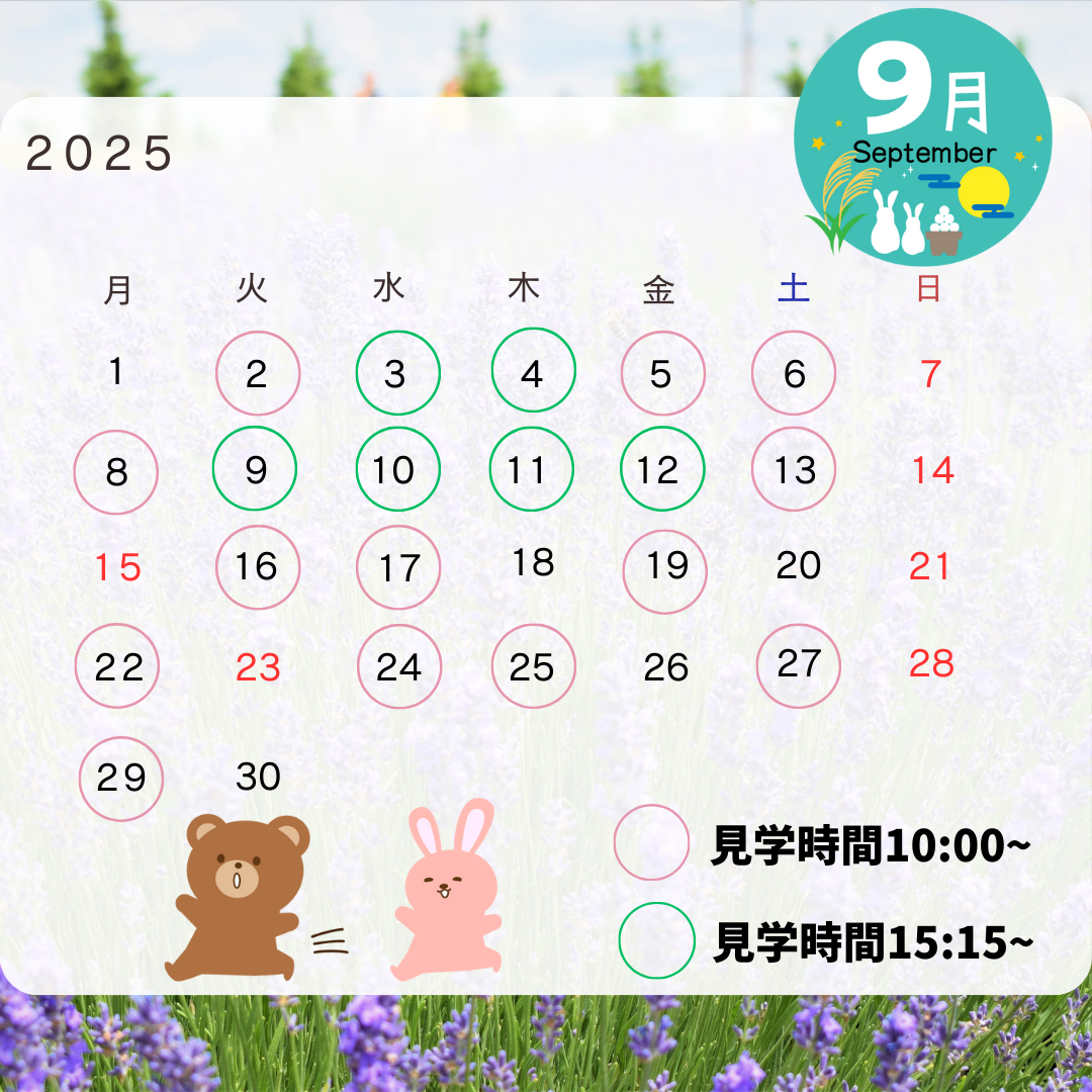 お待ちしています！